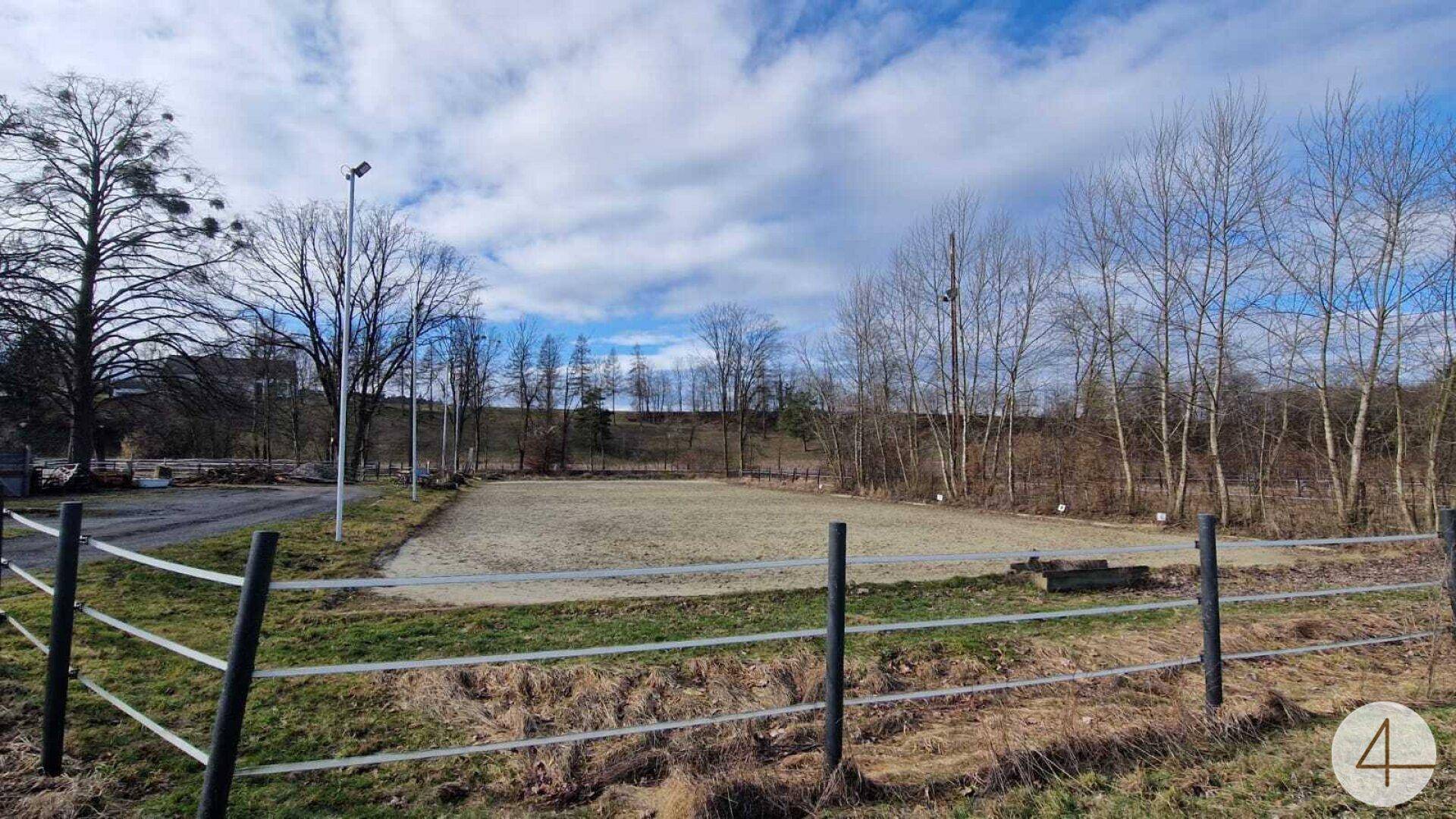 Eingezäunter Reitplatz oder Trainingsbereich für Pferde, umgeben von Bäumen.