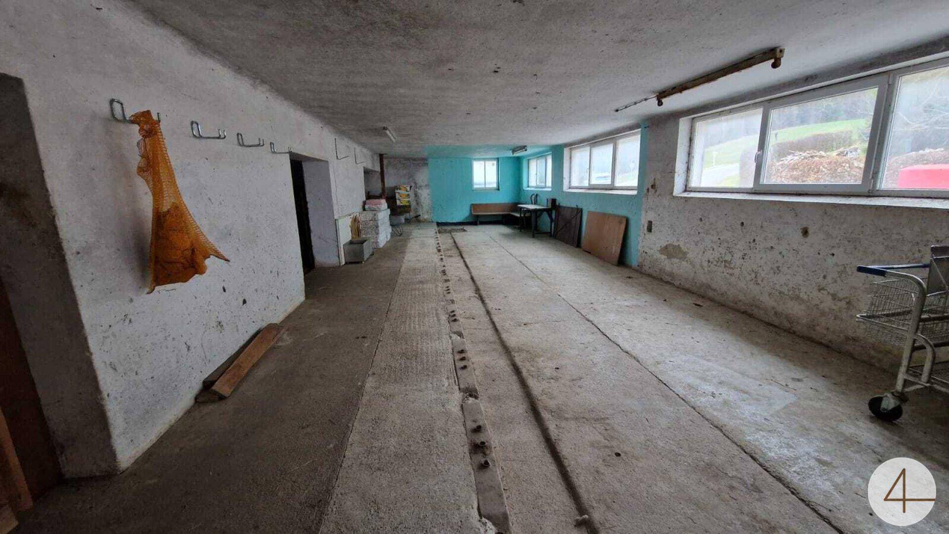 Langer Kellerraum mit Betonboden, weiß getünchten Wänden und mehreren Fenstern mit Blick ins Grüne.