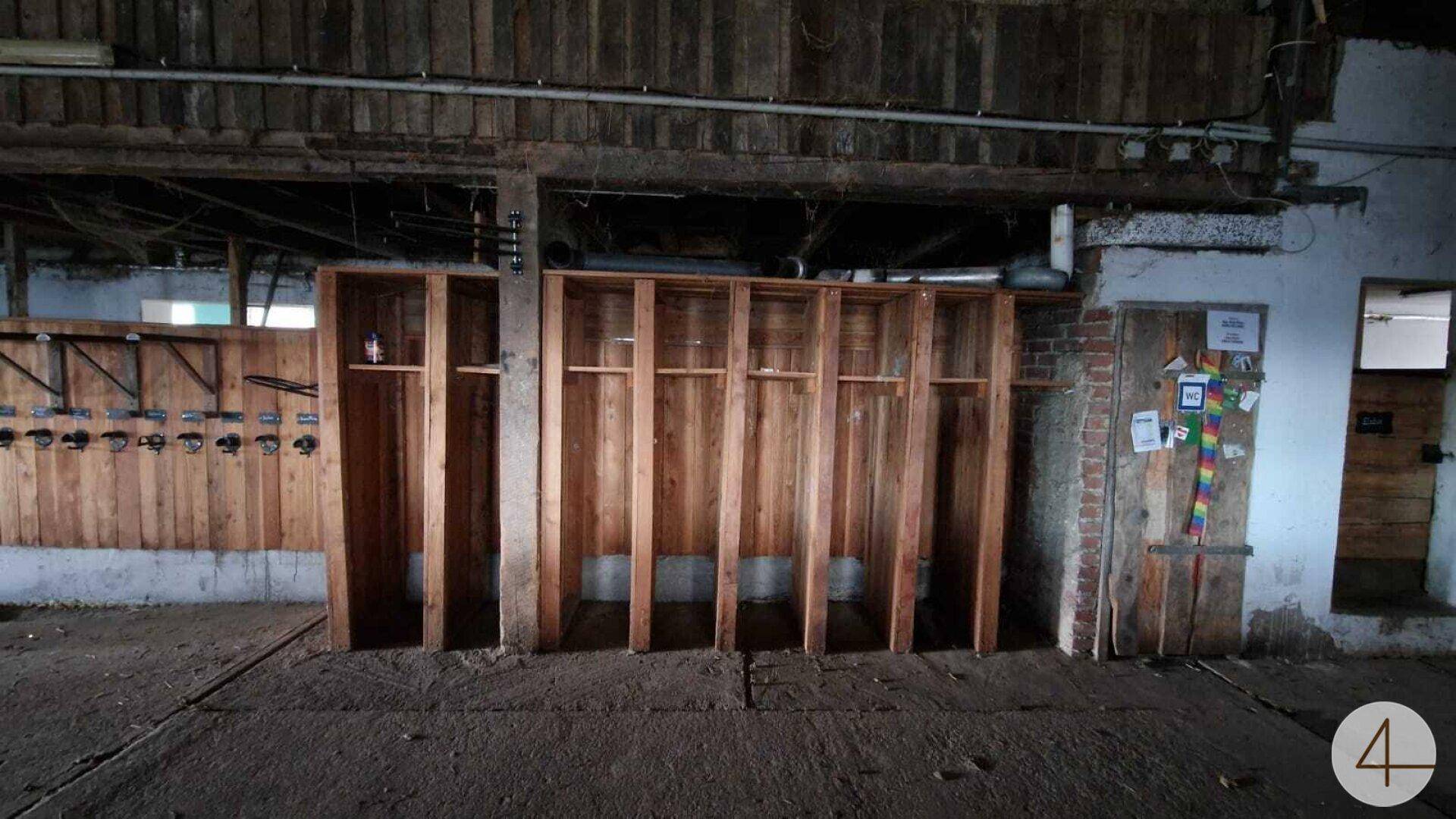 Rustikaler Innenraum einer Scheune oder eines Stalls mit Holztrennwänden und einem Betonboden.