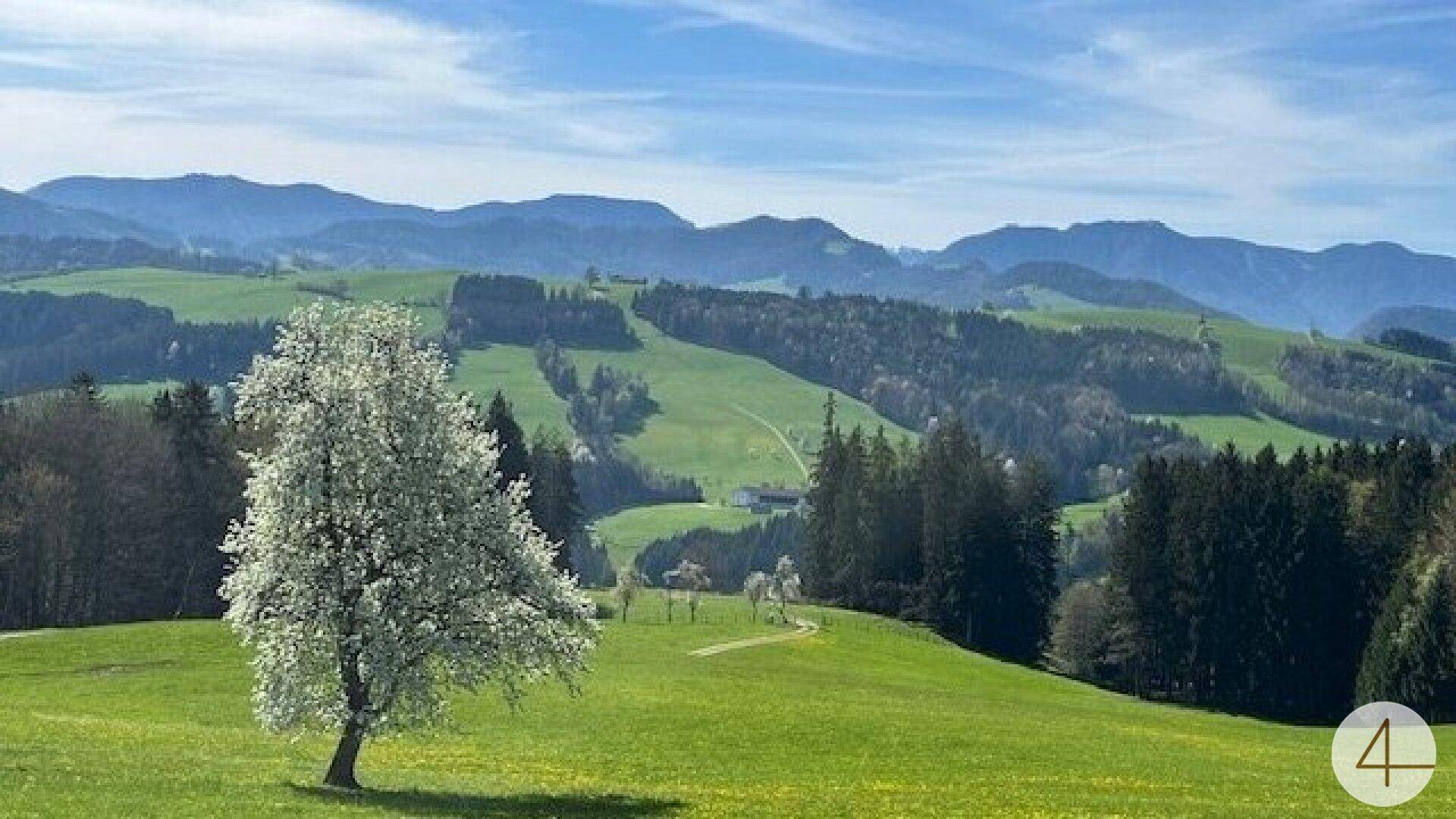 Sonniges Baugrundstück in wunderschöner Lage im Mostviertel! - Ansicht 3
