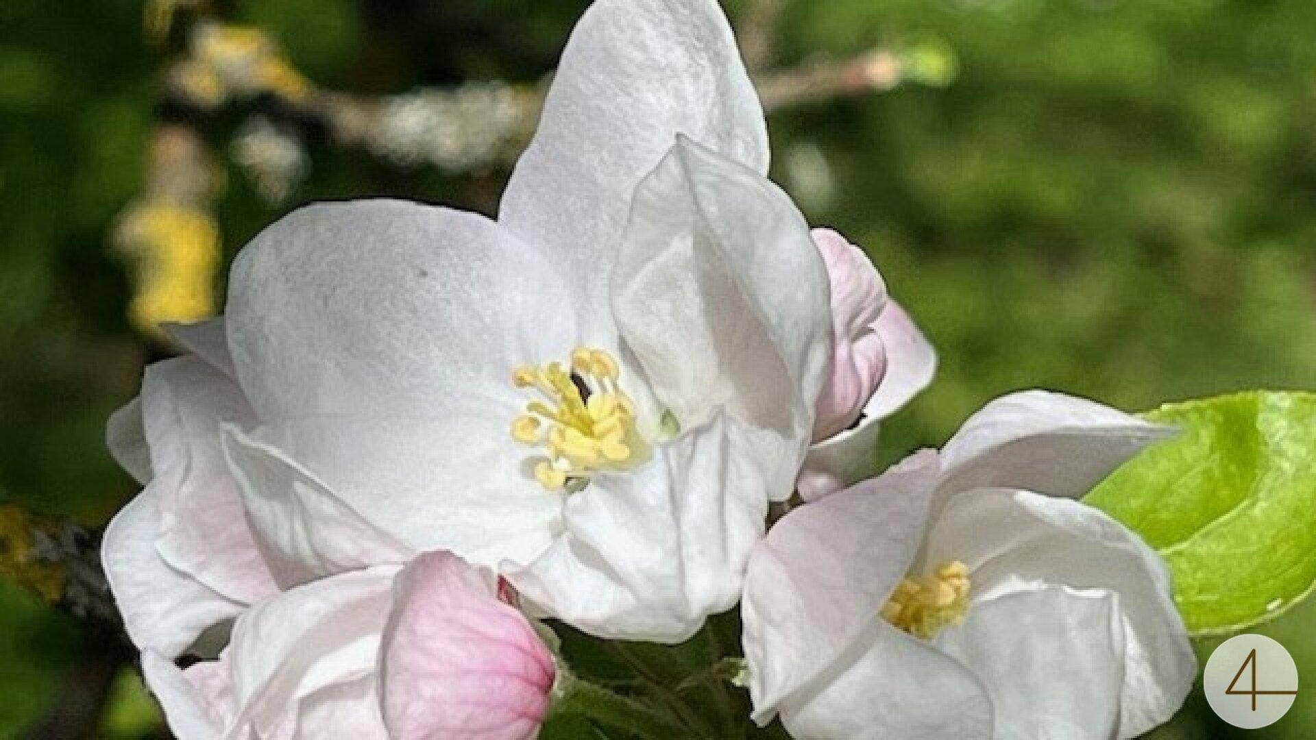 Baugründe in wunderschöner, sonniger Lage! Ein Höchstmaß an Lebensqualität! - Ansicht 3