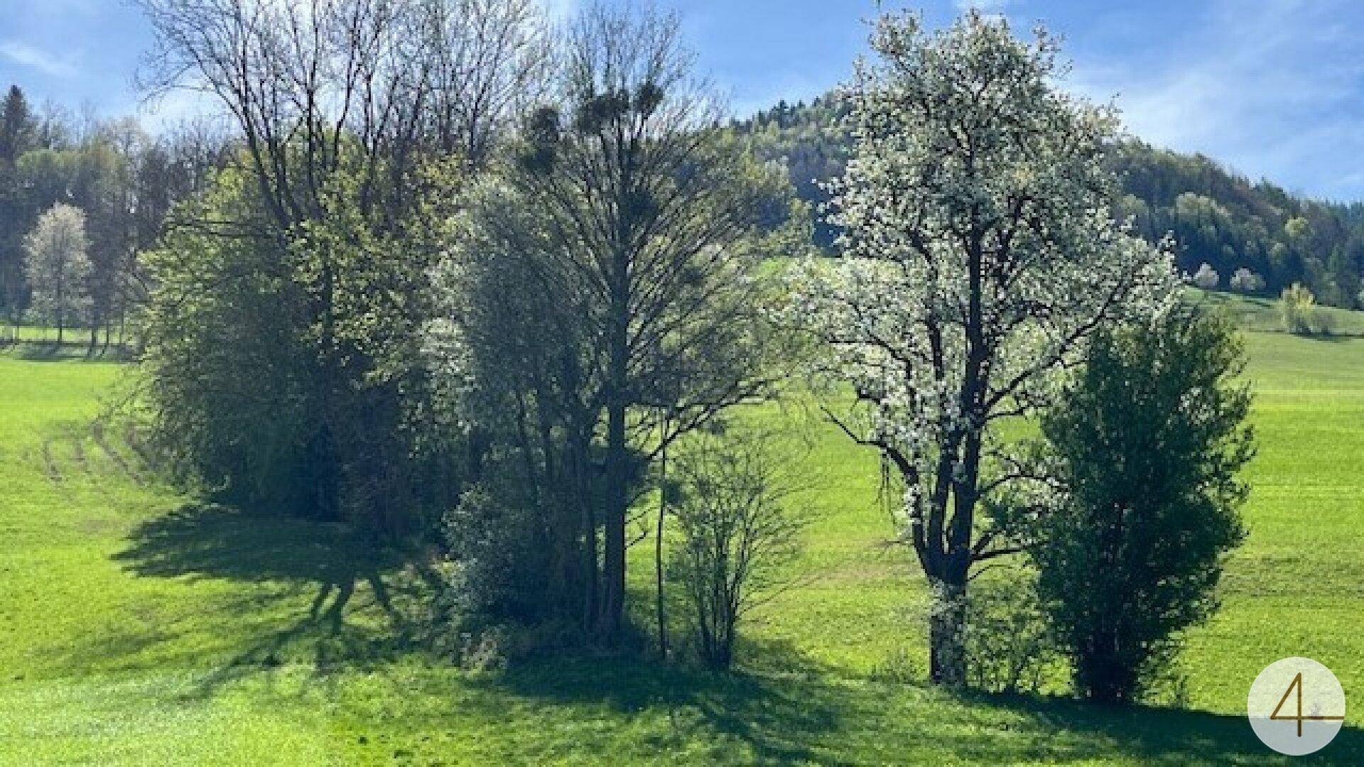 Baugründe in wunderschöner, sonniger Lage! Ein Höchstmaß an Lebensqualität! - Ansicht 4
