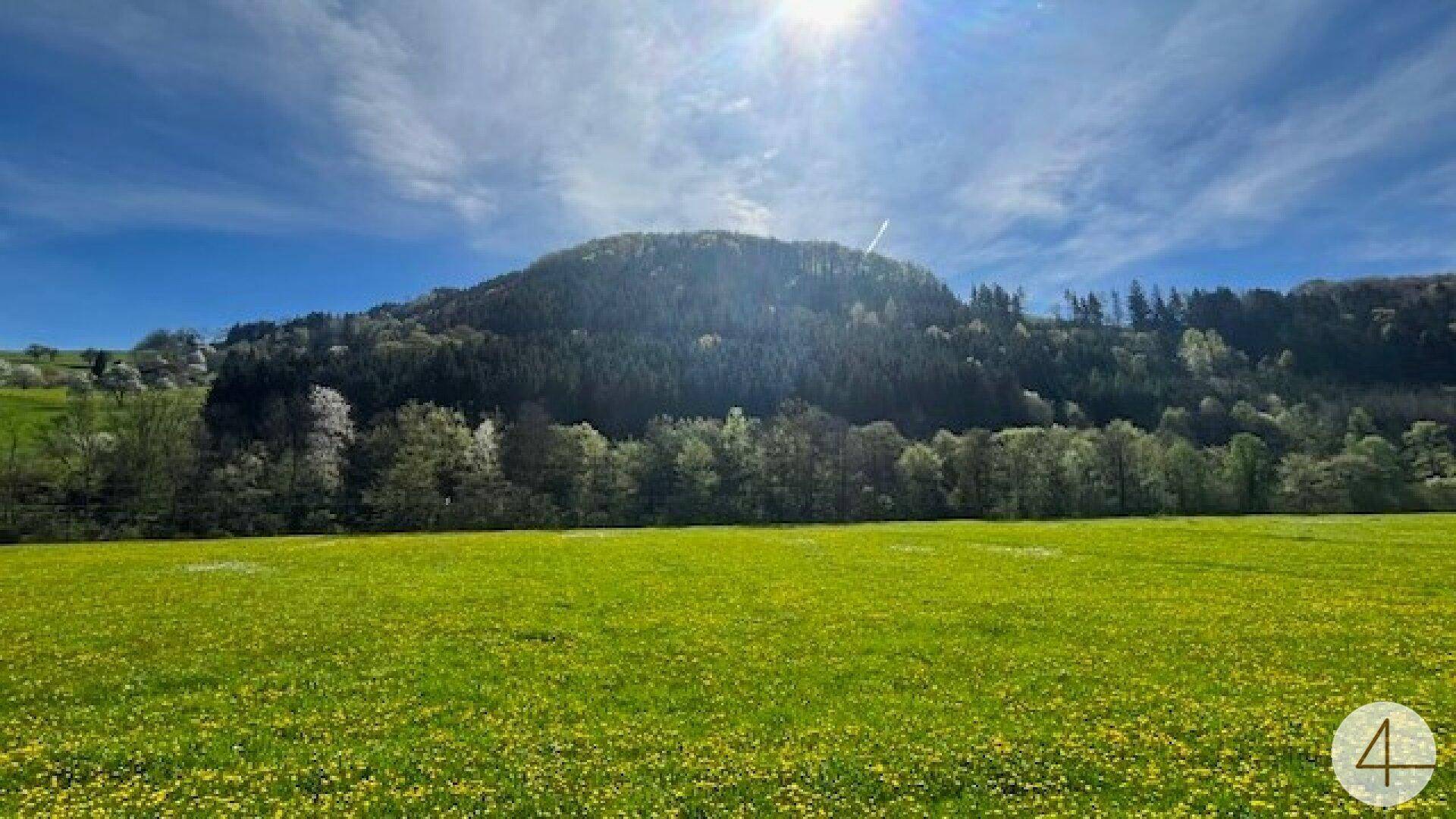 Sonnige Landschaft mit grünen Wiesen und bewaldetem Hügel unter strahlend blauem Himmel.