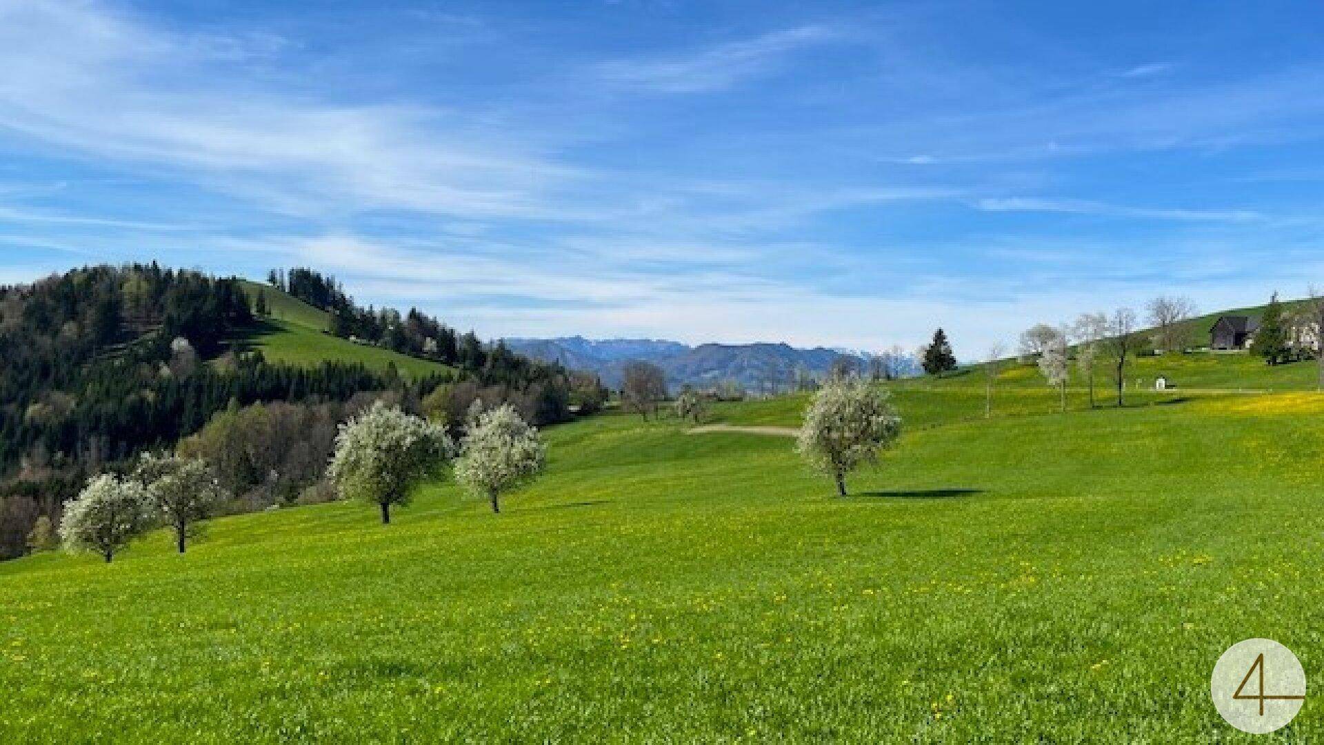 Idyllische grüne Hügellandschaft mit blühenden Bäumen und schneebedeckten Bergen am Horizont.