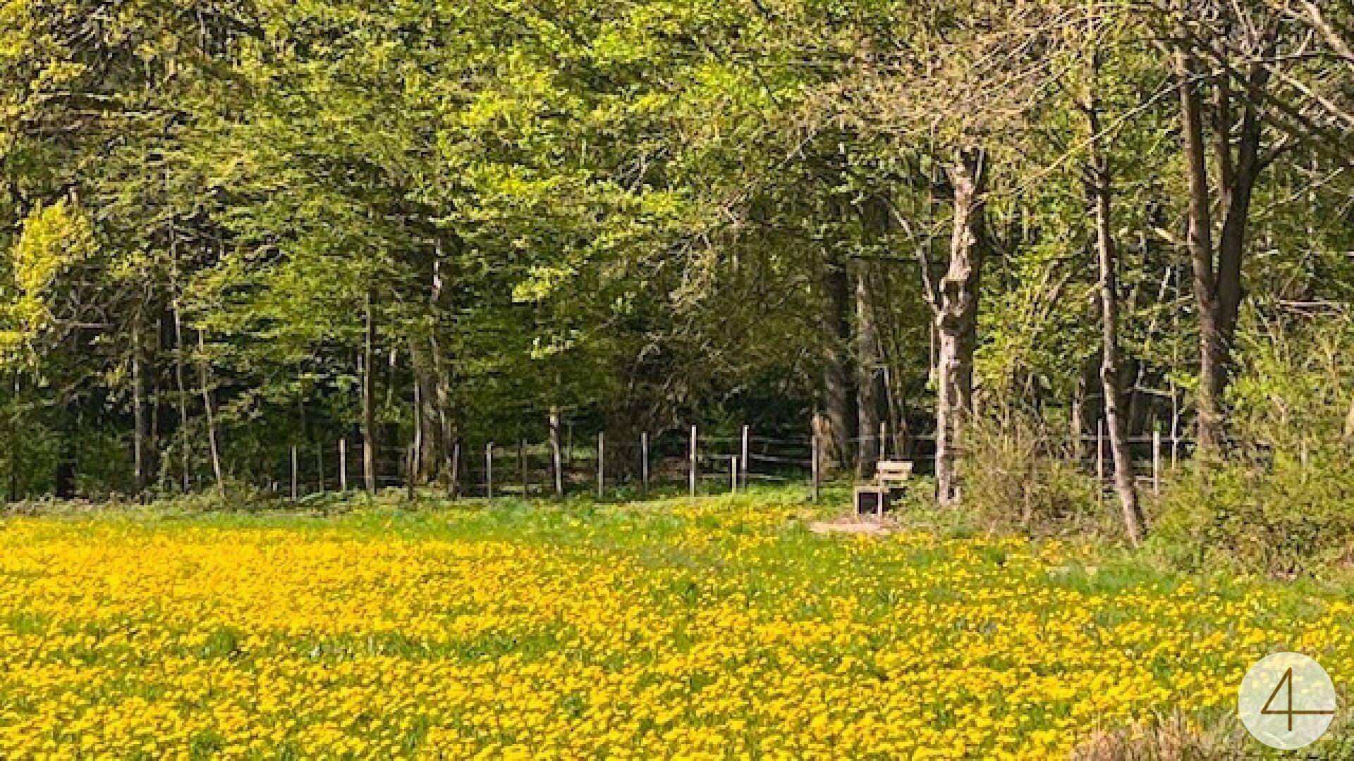 Apfelbaumblüte vor Ihrem Haus im schönen Mostviertel - Baugründe in wunderschöner, sonniger Lage! - Ansicht 2