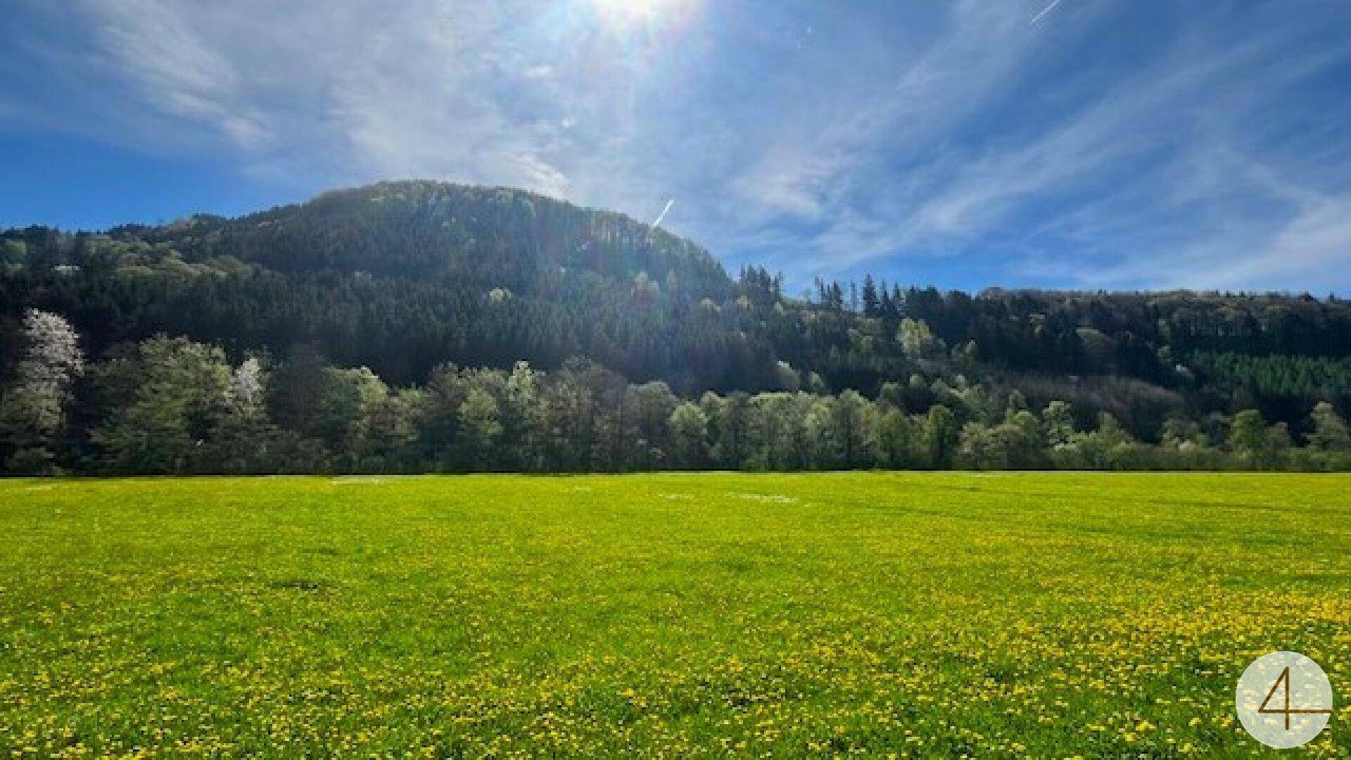 Für ein natürliches Wohlfühlerlebnis – Keine Anzahlung - individuell planbare Doppelhaushälfte in sonniger Lage! - Ansicht 5