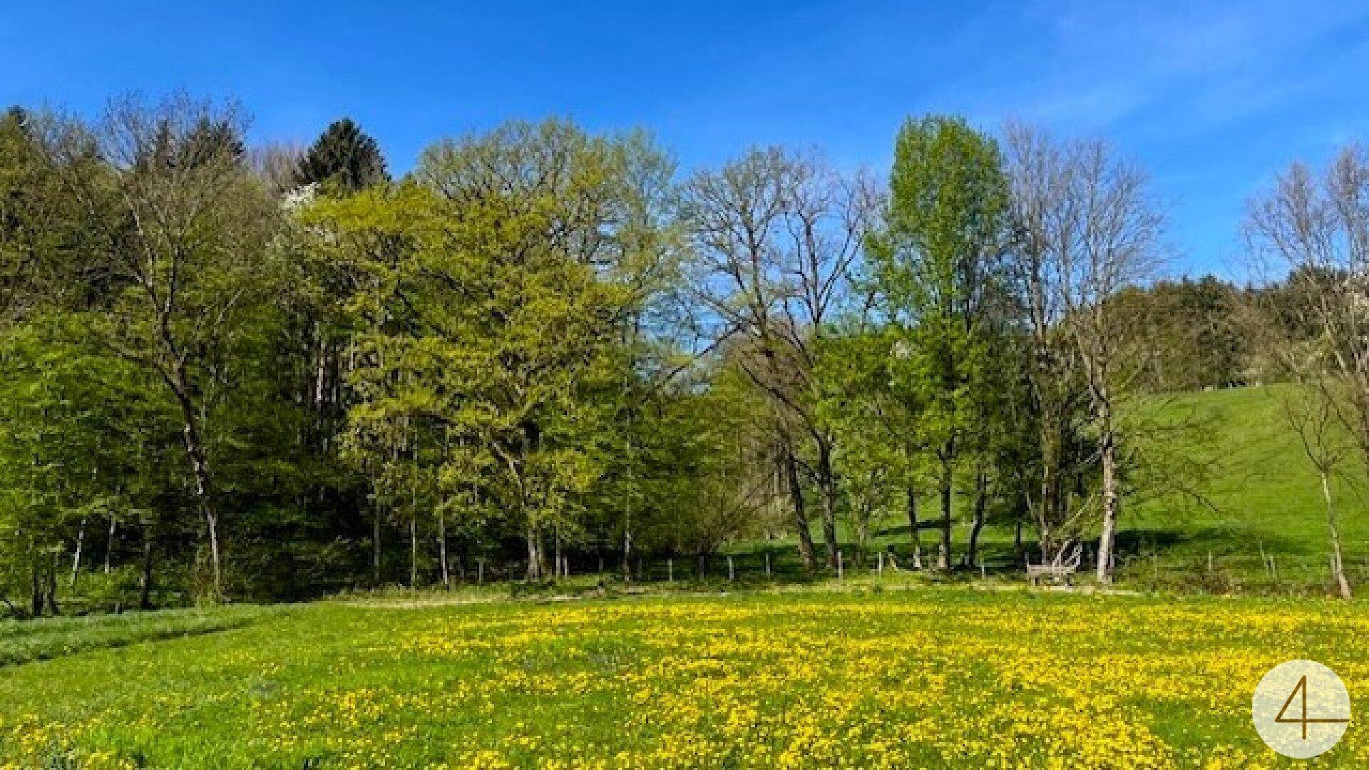 Für ein natürliches Wohlfühlerlebnis – Keine Anzahlung - individuell planbare Doppelhaushälfte in sonniger Lage! - Ansicht 2
