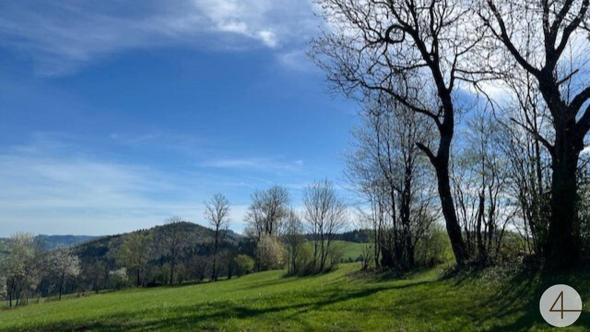 Weitläufige grüne Hügellandschaft mit Bäumen unter einem strahlend blauen Himmel.