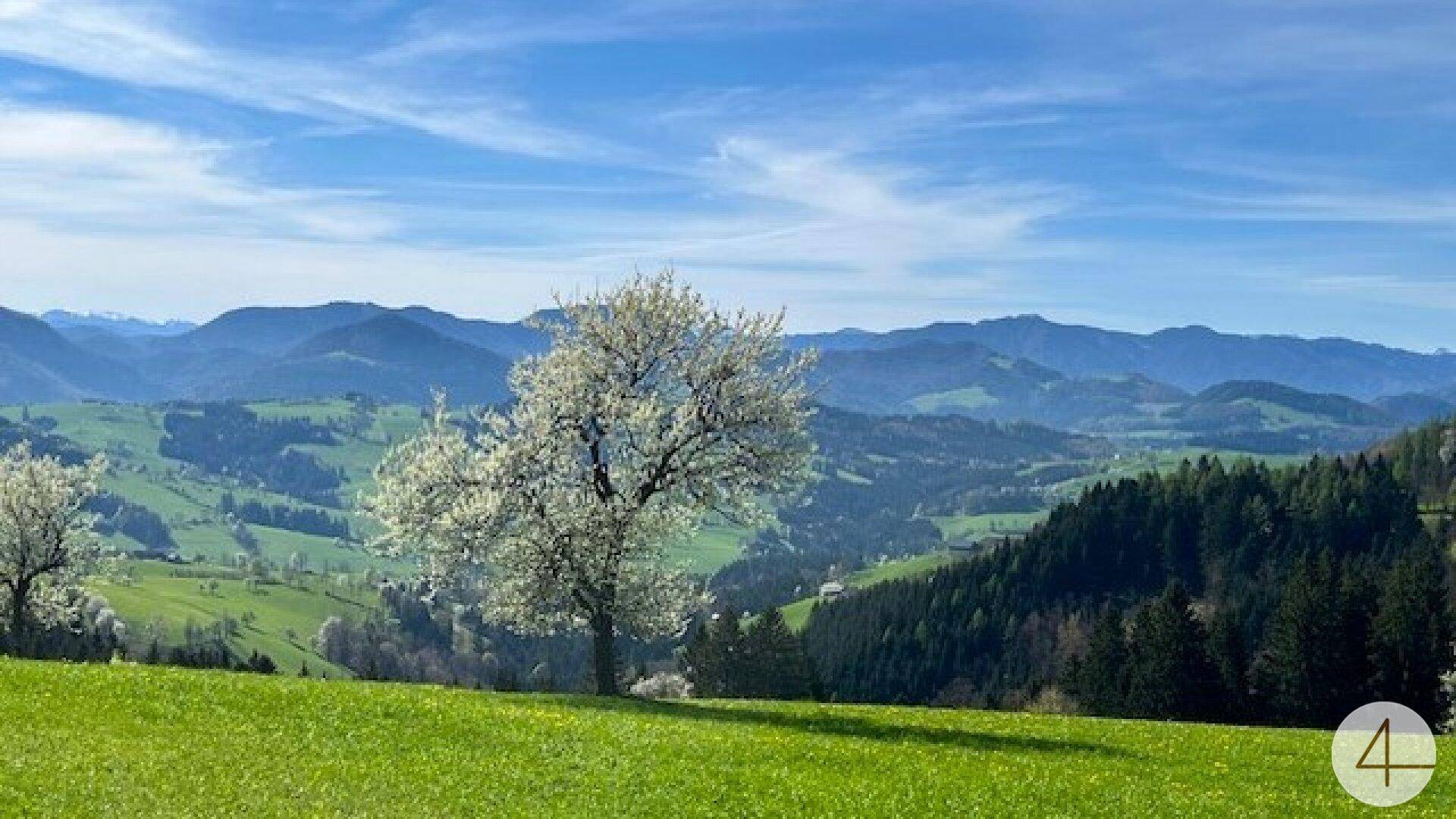 Malerischer Blick auf blühende Bäume, grüne Hügel und ferne Berge unter blauem Himmel.