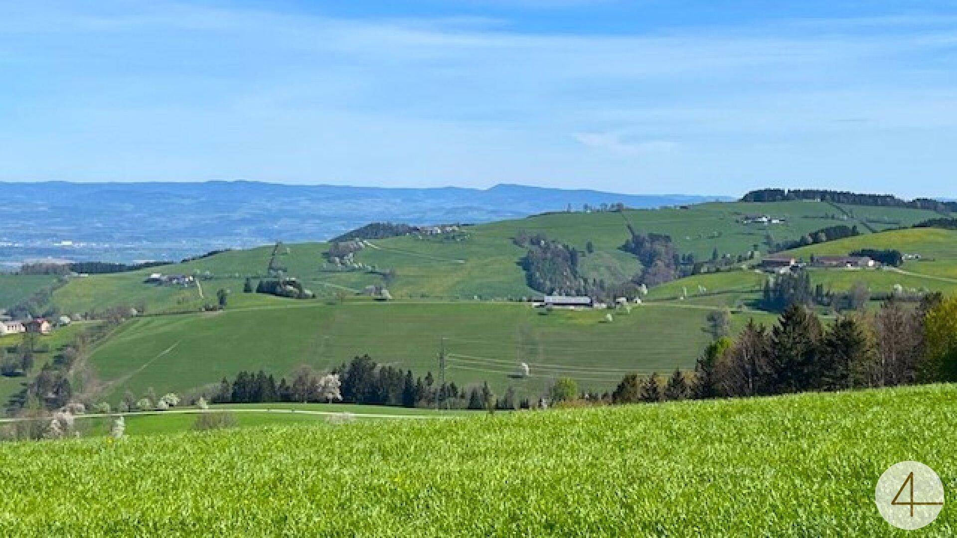 Panoramablick über sanfte grüne Hügel mit verstreuten Häusern und weitem Horizont.