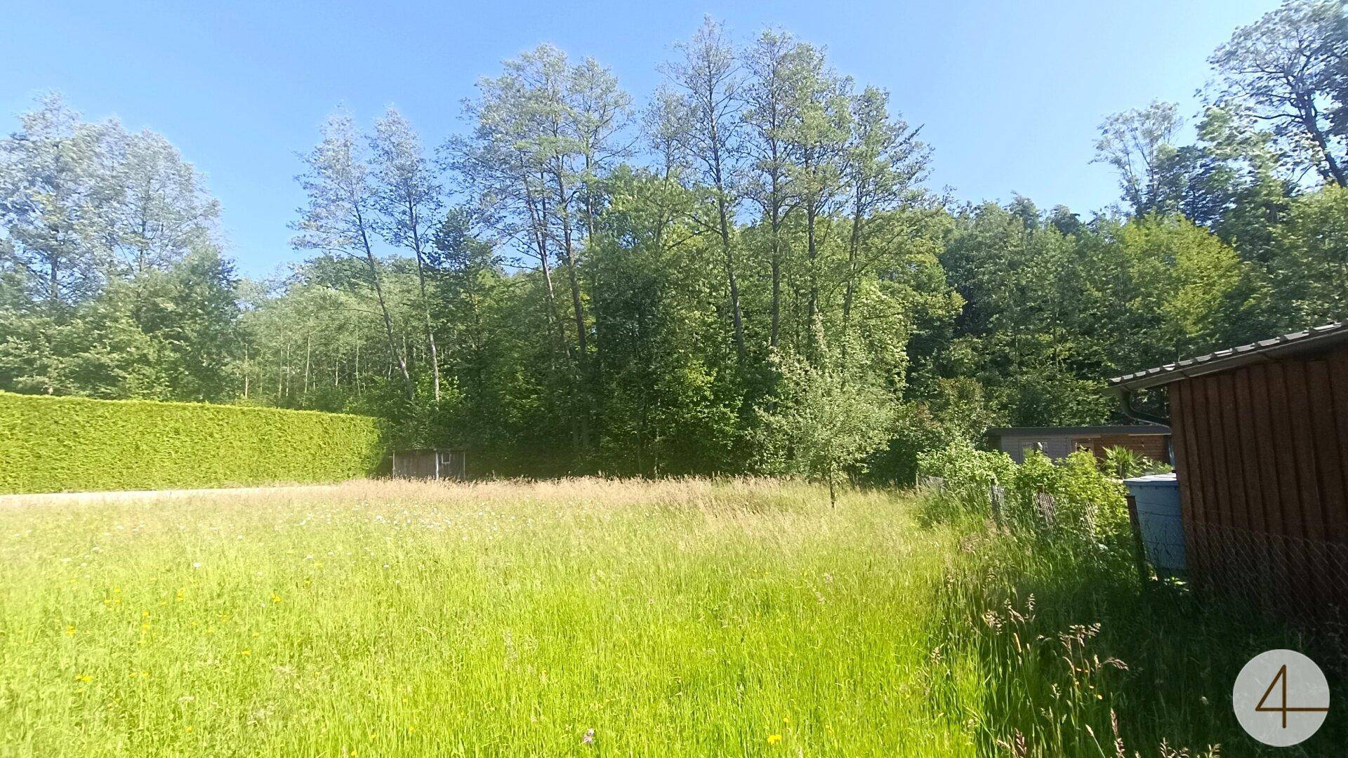 Slide 8