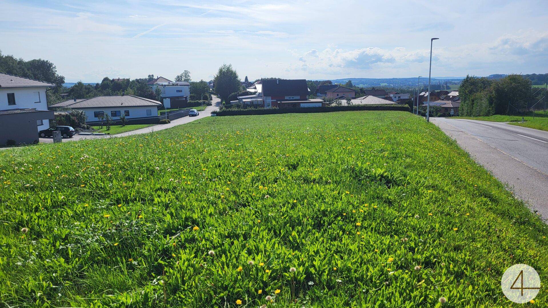 Weitläufige Grünfläche mit Blick auf die umliegende Wohnbebauung und die ländliche Landschaft.