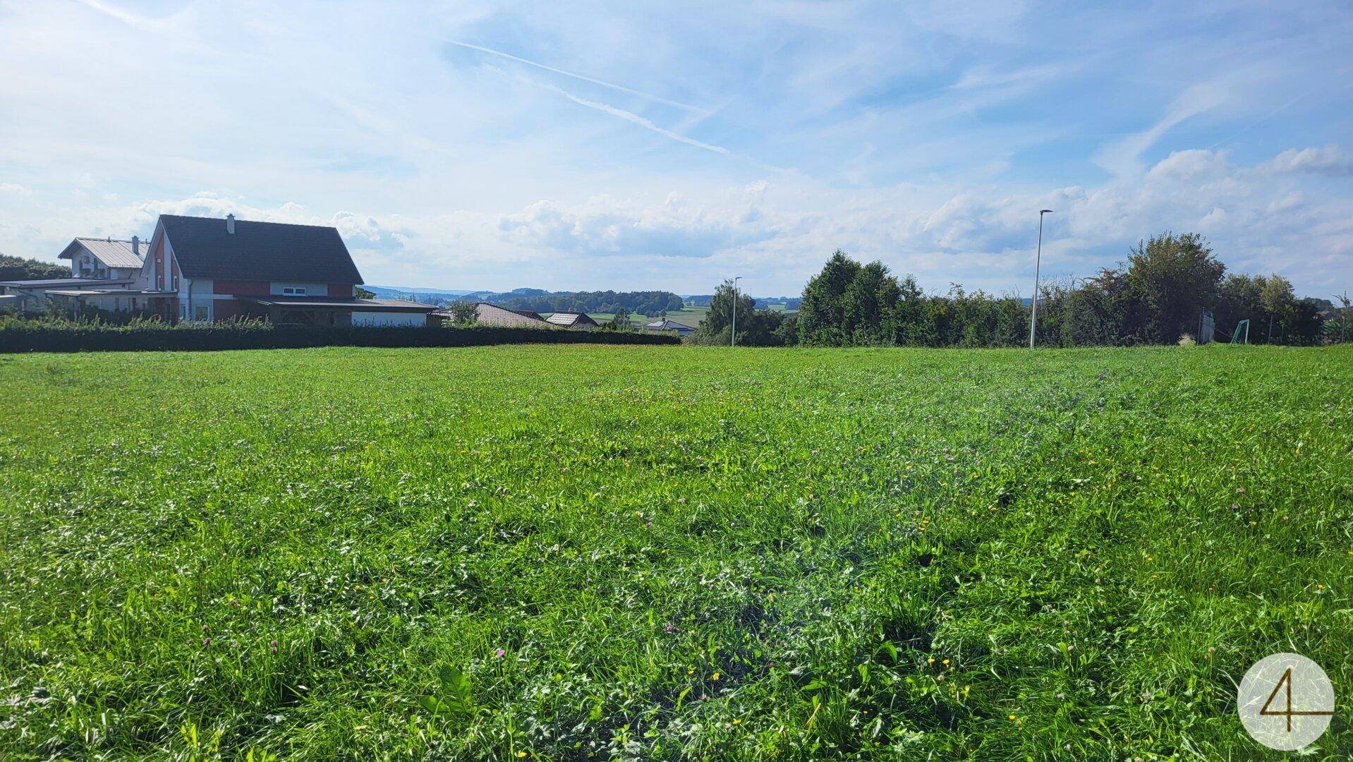 Sonnige Grünfläche mit Blick auf Wohngebäude und die hügelige Umgebung.