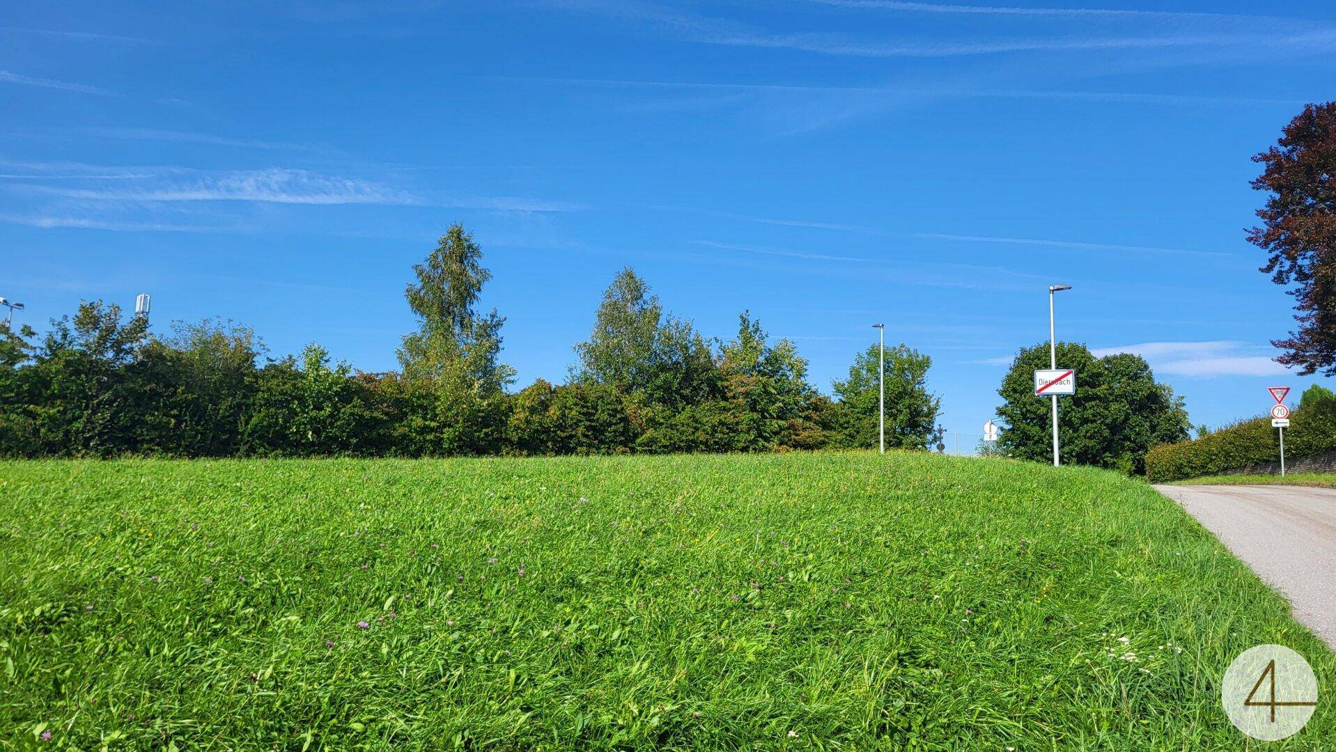Offene Grünfläche neben einem Feldweg mit Bäumen und Hecken im Hintergrund.