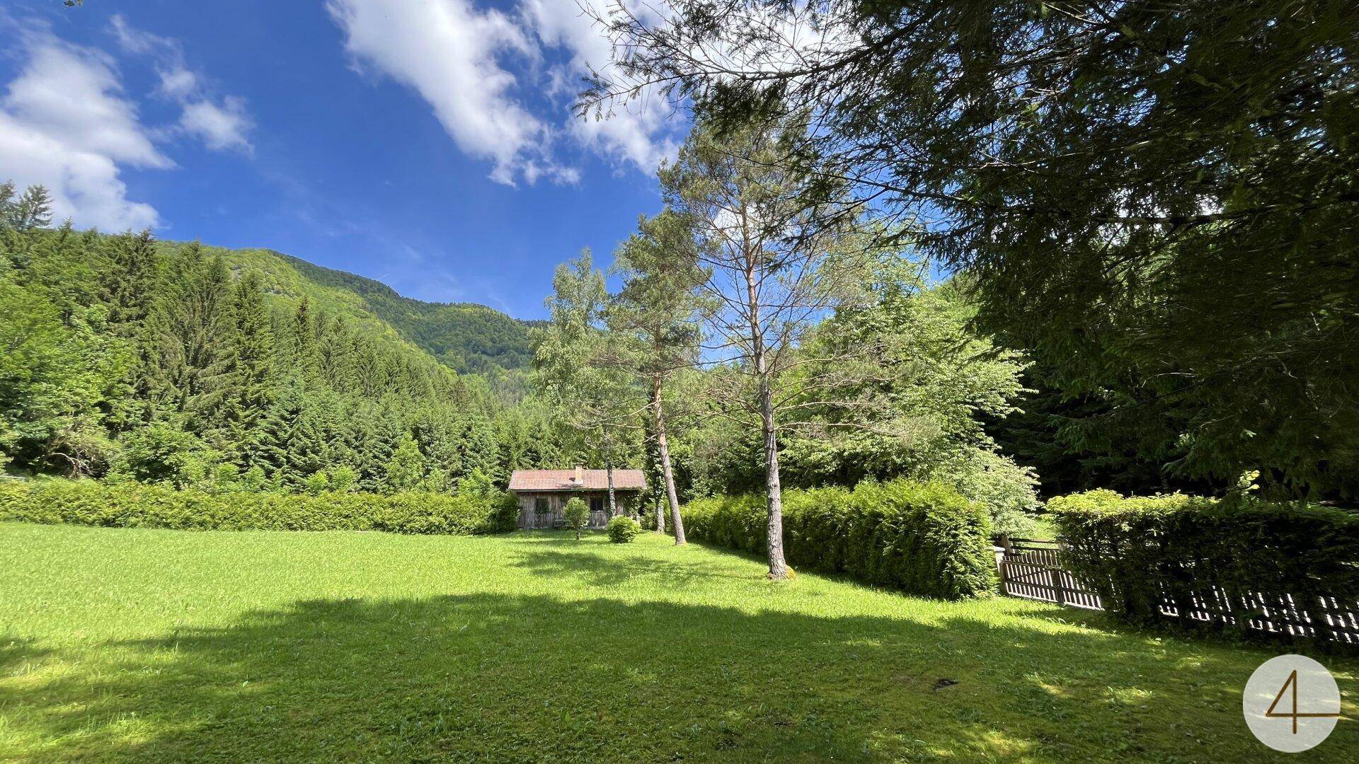 Große, sonnige Rasenfläche im Garten mit Blick auf ein kleines Gartenhaus und Bäume.