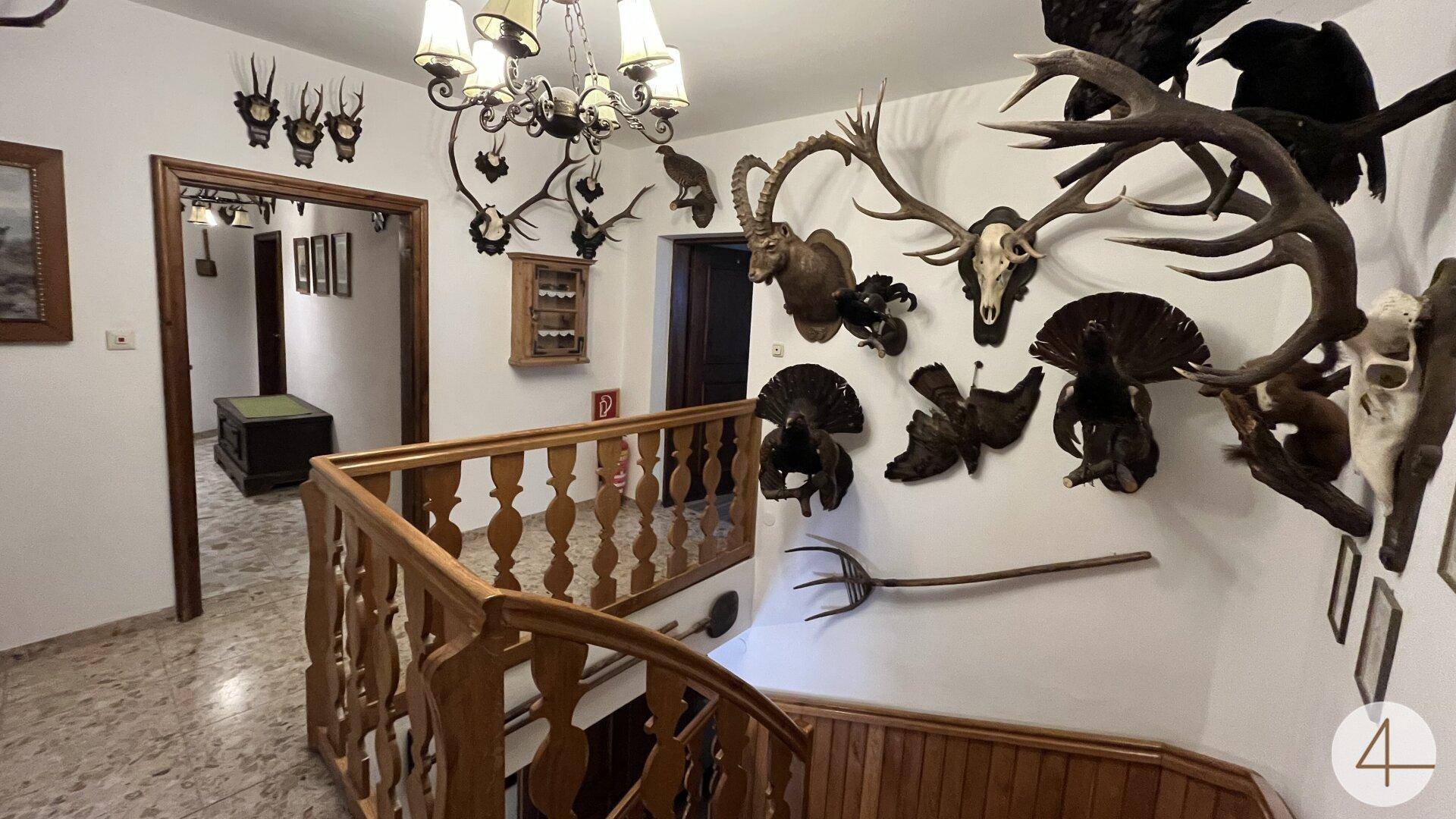 Treppenhaus mit aufwendiger Dekoration aus Jagdtrophäen und Holzgeländer.