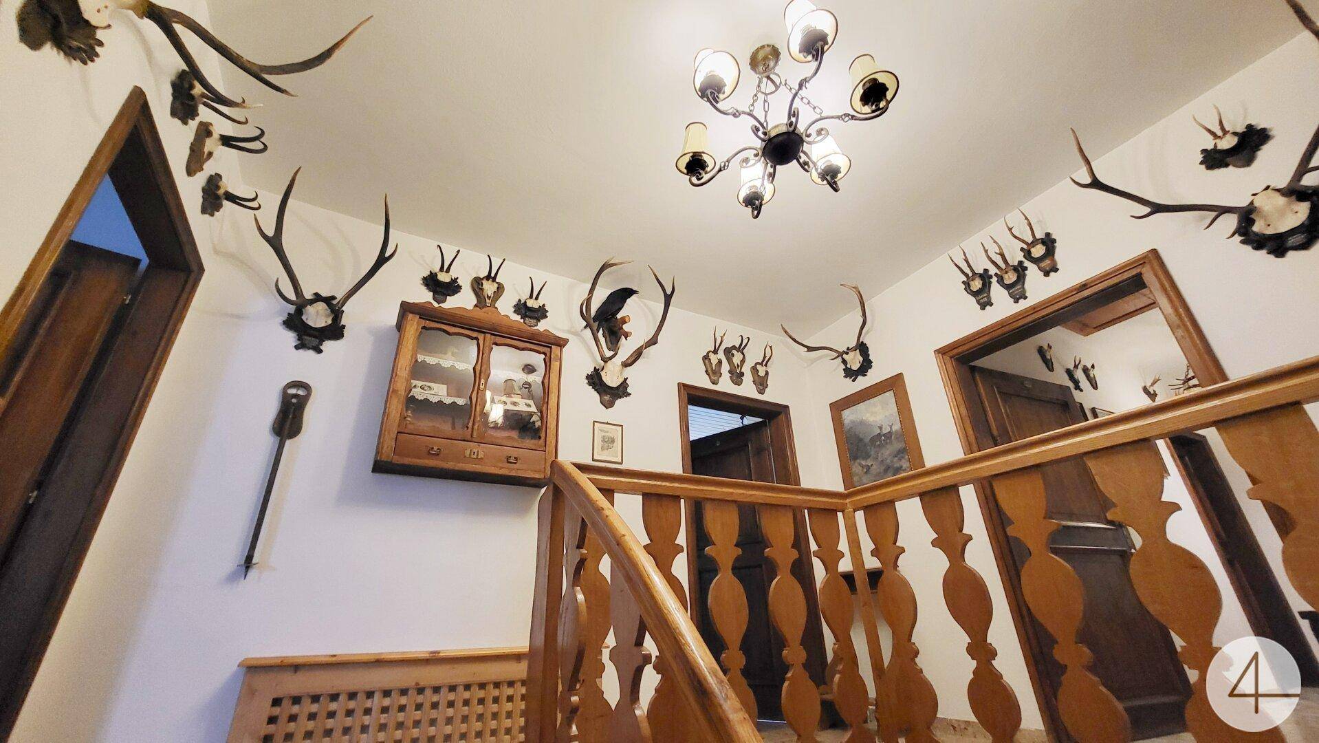 Treppenhaus mit Holzgeländer und einer Sammlung von Jagdtrophäen an den Wänden.