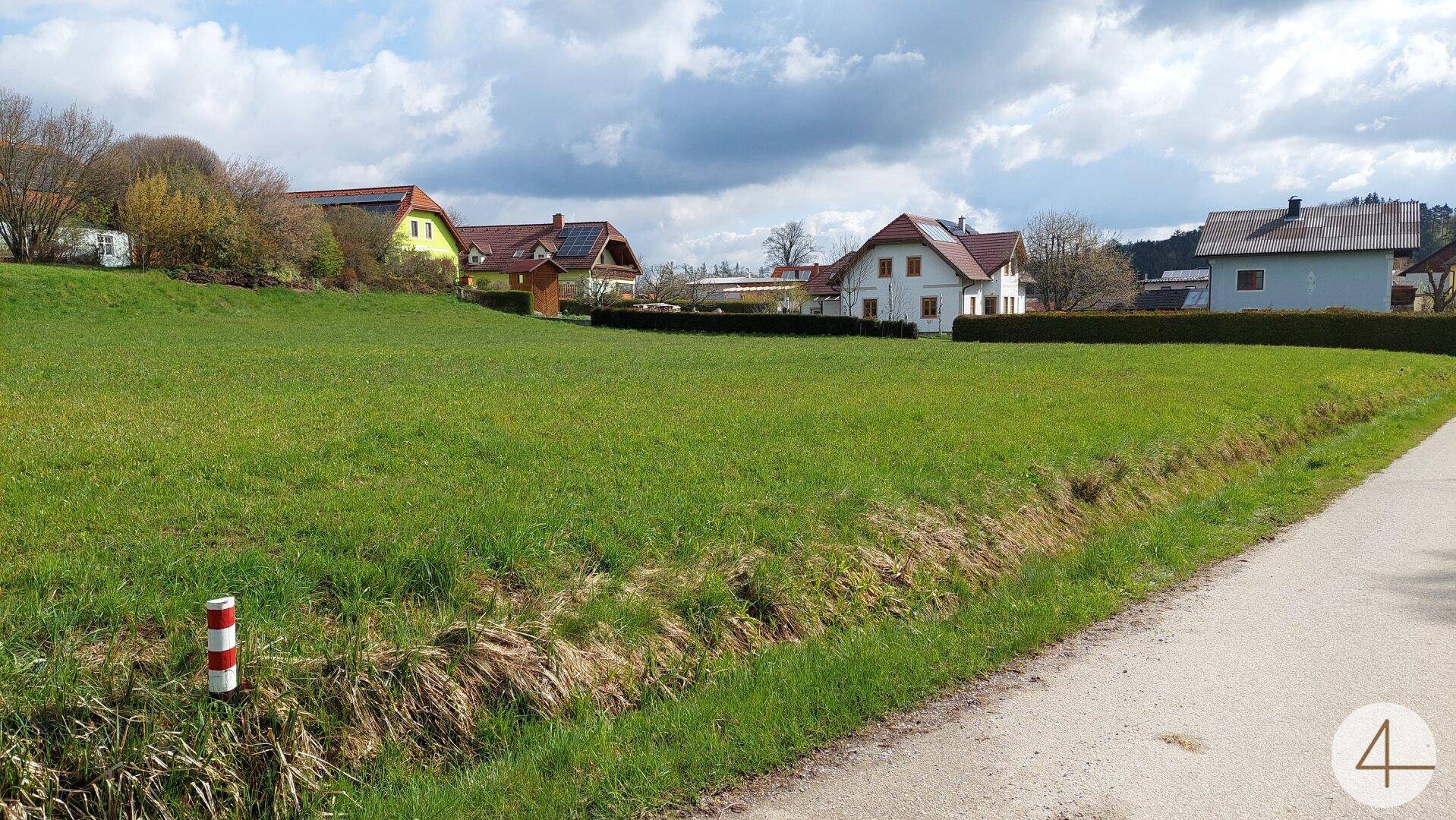 Grüne Wiese mit Wohnhäusern im Hintergrund und einer Straße im Vordergrund unter bewölktem Himmel.