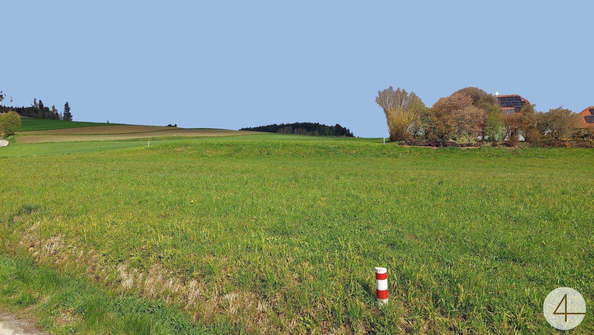 Weitläufige Grünfläche mit vereinzelten Häusern und Bäumen am Horizont unter klarem Himmel.