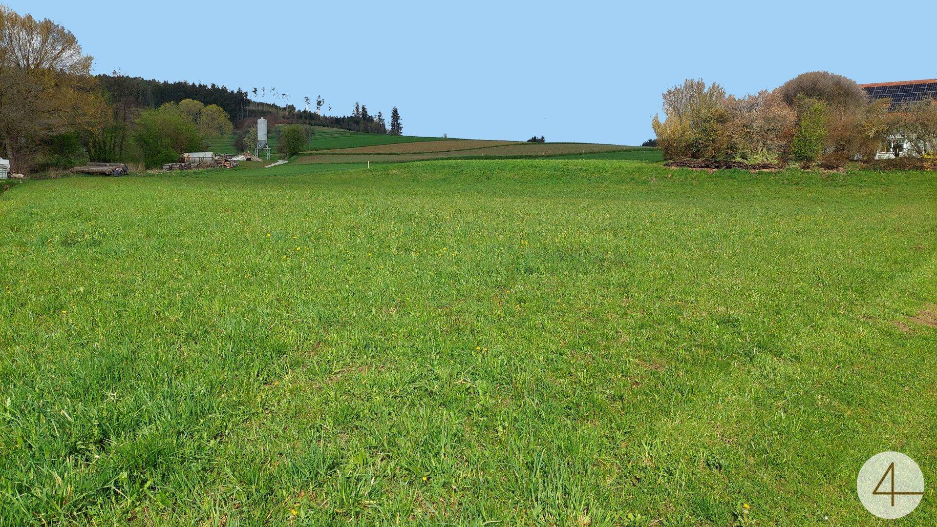 Weitläufige grüne Wiese mit vereinzelten Häusern und Waldgebieten unter einem klaren blauen Himmel.