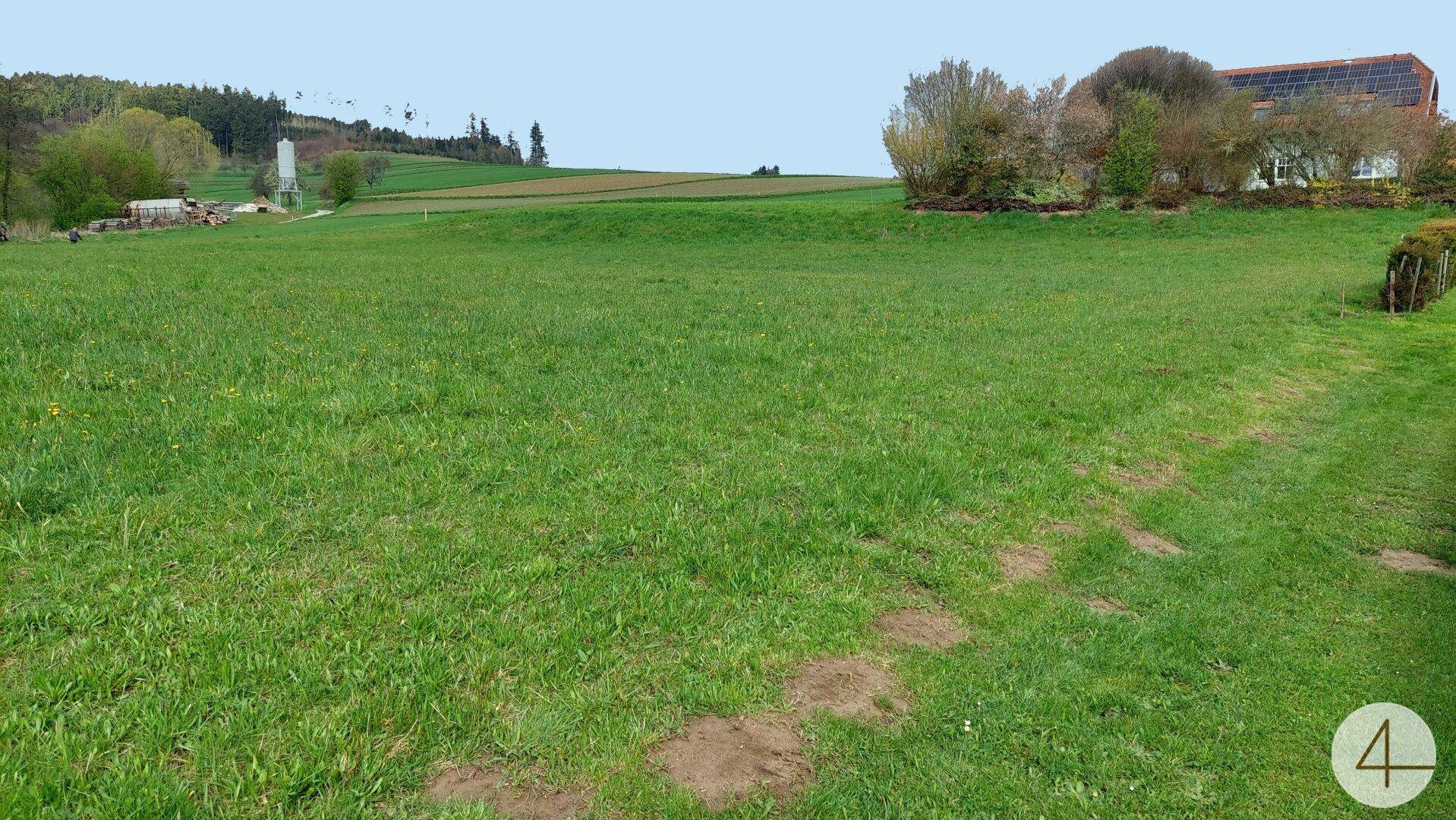 Grüne Wiesenlandschaft mit entfernten Gebäuden und Bäumen unter einem weiten, klaren Himmel.