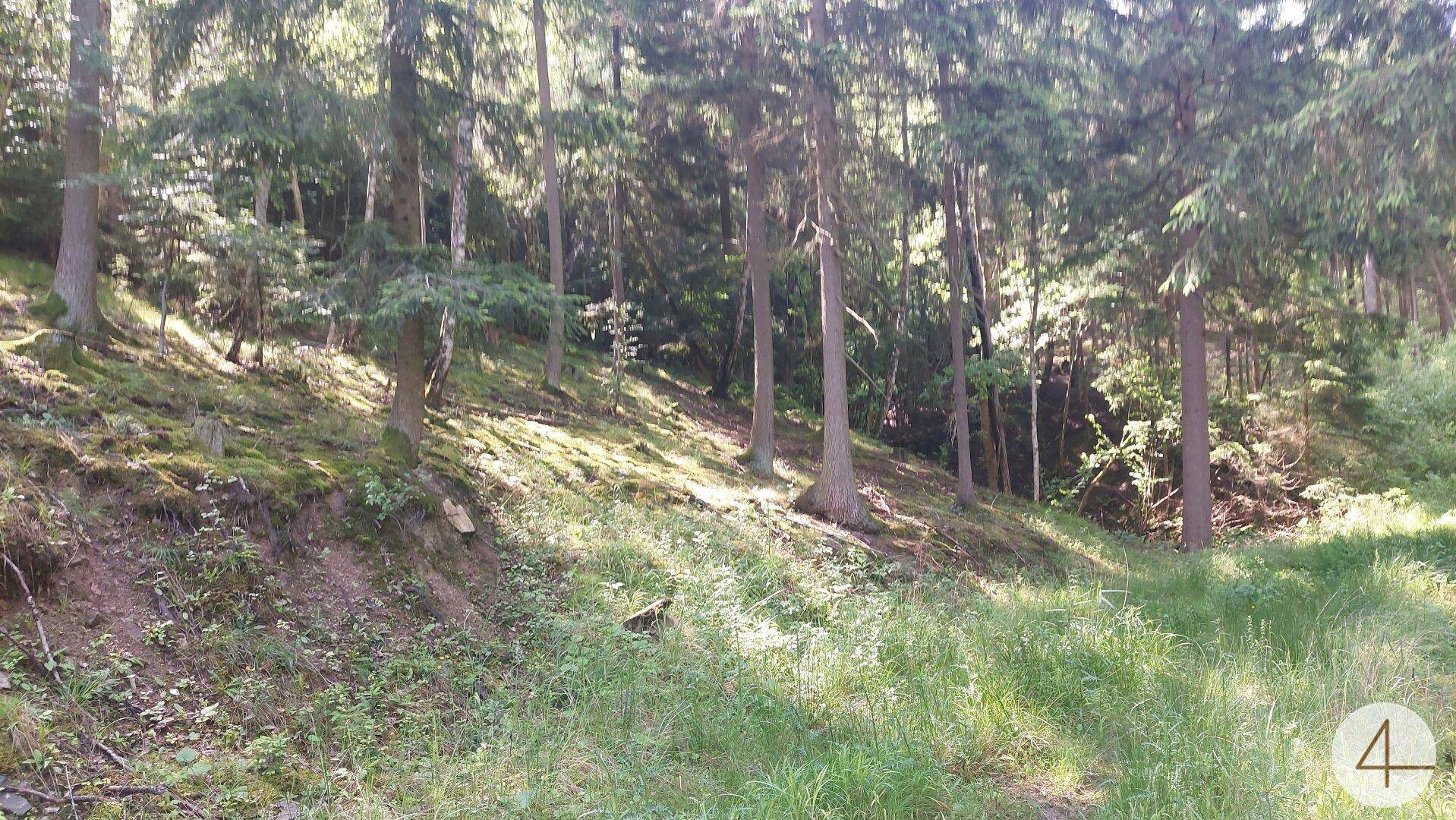 Slide 9