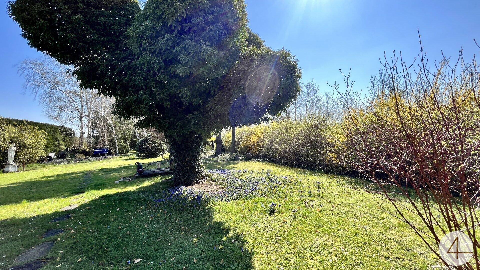 Weitläufiger Garten mit gepflegtem Rasen und einem kunstvoll geformten Baum unter blauem Himmel.