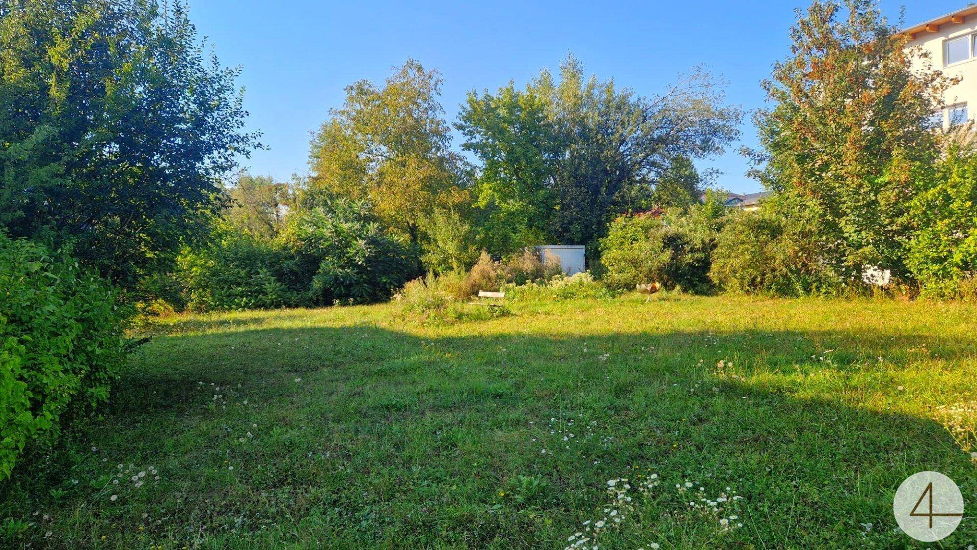 Grüne Gartenfläche mit Rasen und Bäumen, ideal für Erholung im Freien.