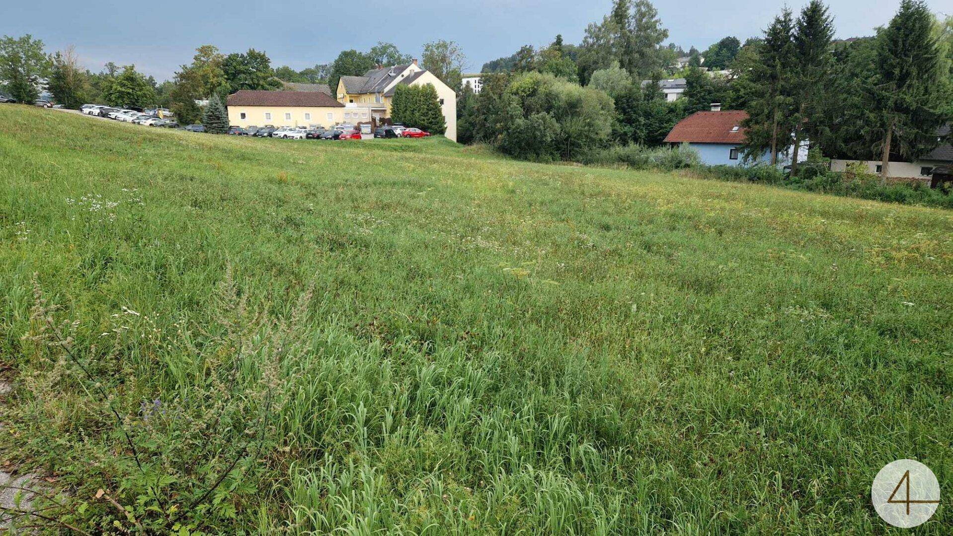 Großes grünes Feld mit ländlicher Bebauung und viel Grün im Hintergrund.