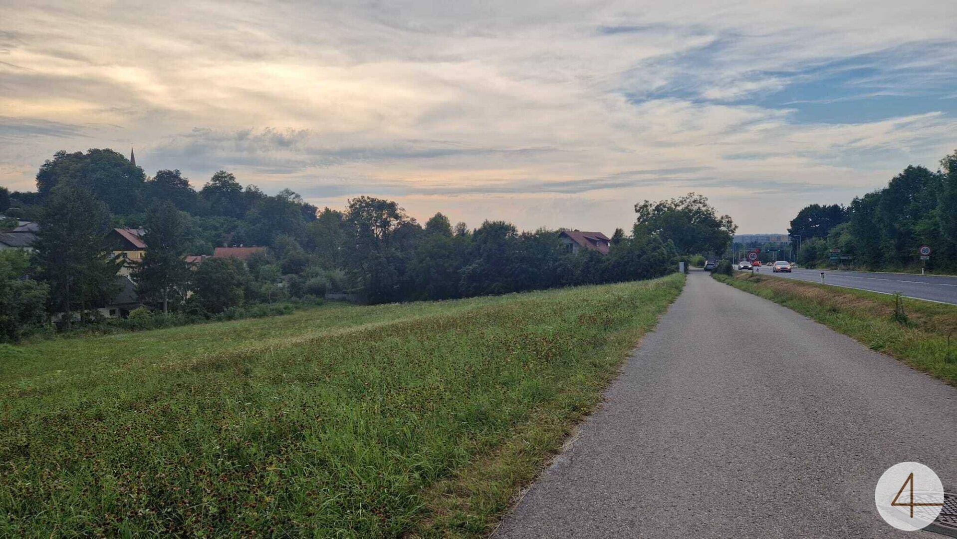 Weg neben einem grünen Feld mit Häusern und Bäumen am Horizont unter einem bewölkten Himmel.