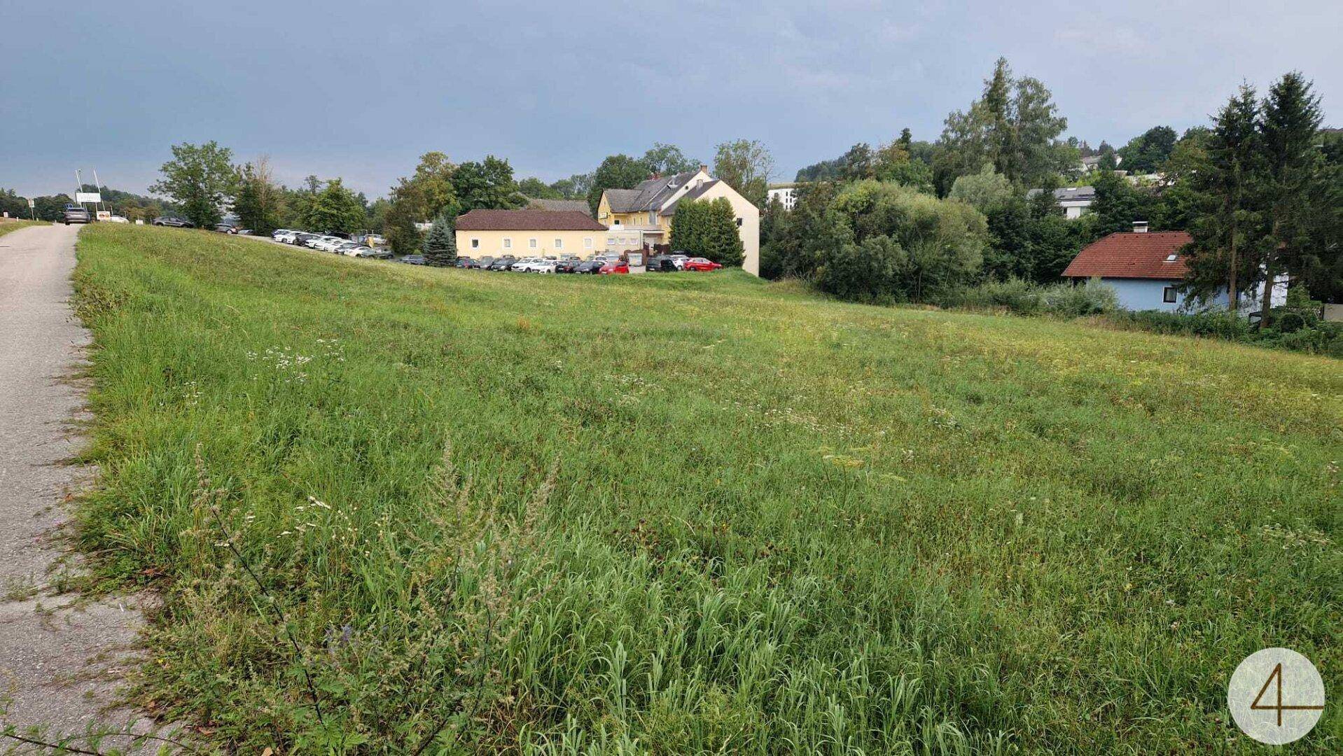 Grünes Feld neben einer Straße mit einem Gebäude und Parkplatz im Hintergrund.