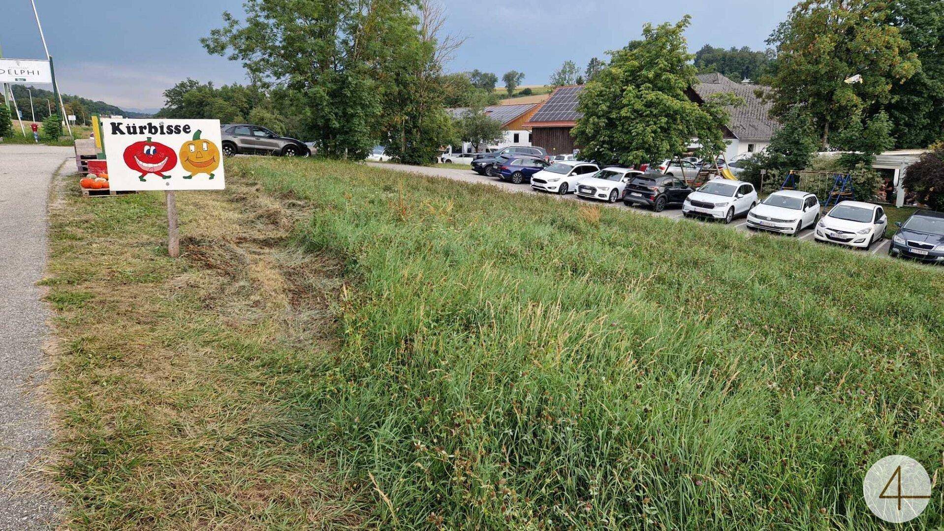 Grünes Feld neben einer Straße mit einem Kürbis-Schild und einem Gebäude mit Parkplatz.