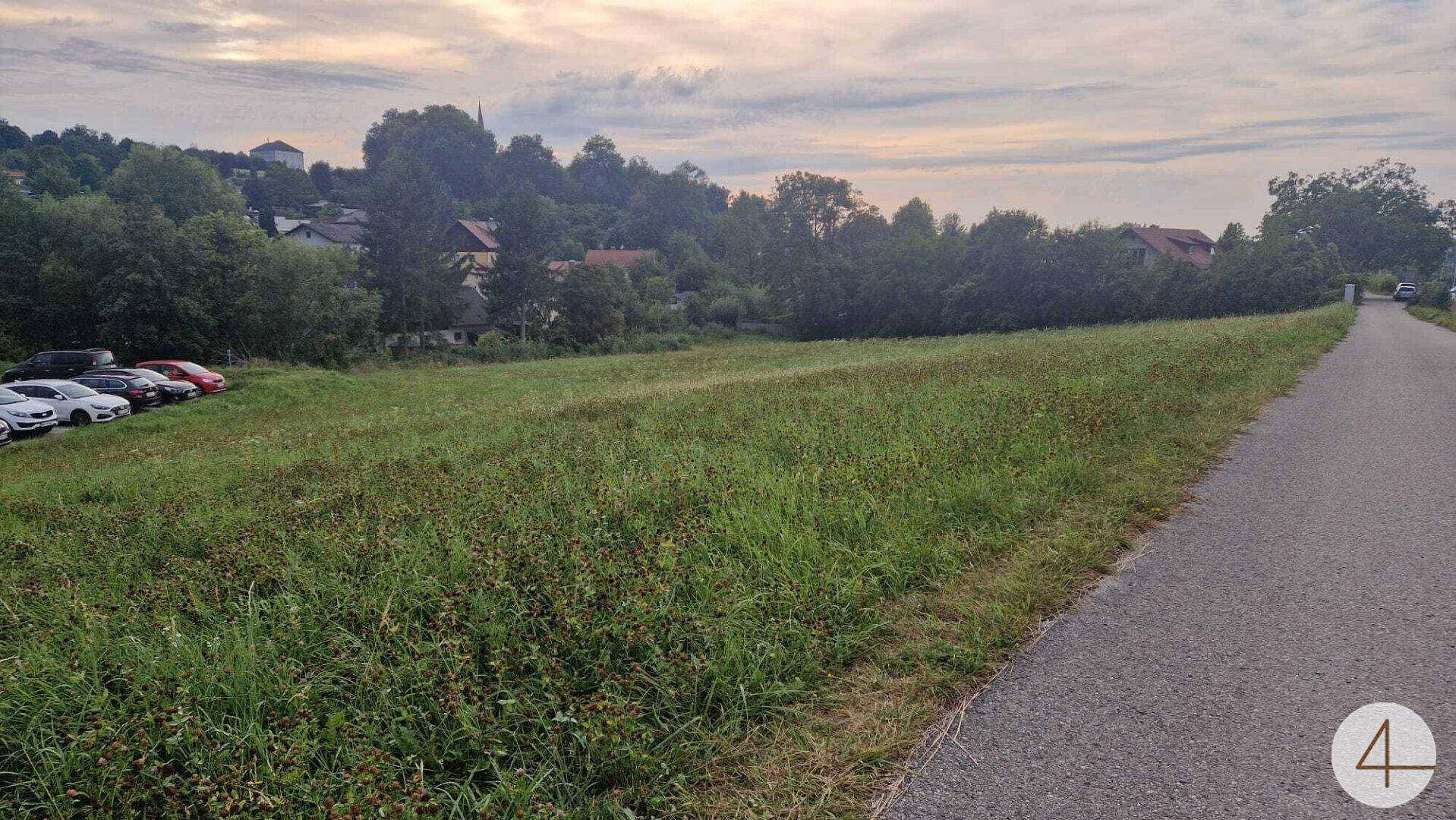 Grünes Feld neben einem Weg mit einem Gebäude und geparkten Autos im Hintergrund.