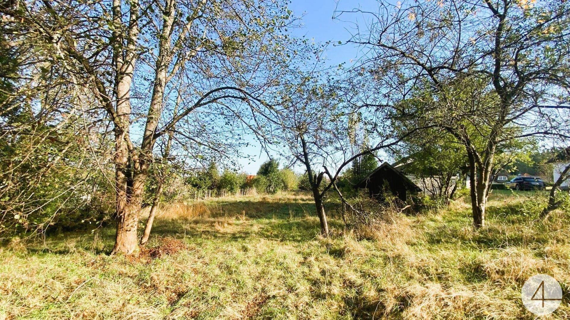 Weite, sonnige Wiese mit vereinzelten Bäumen und einem kleinen Schuppen im Hintergrund, umgeben von Natur.