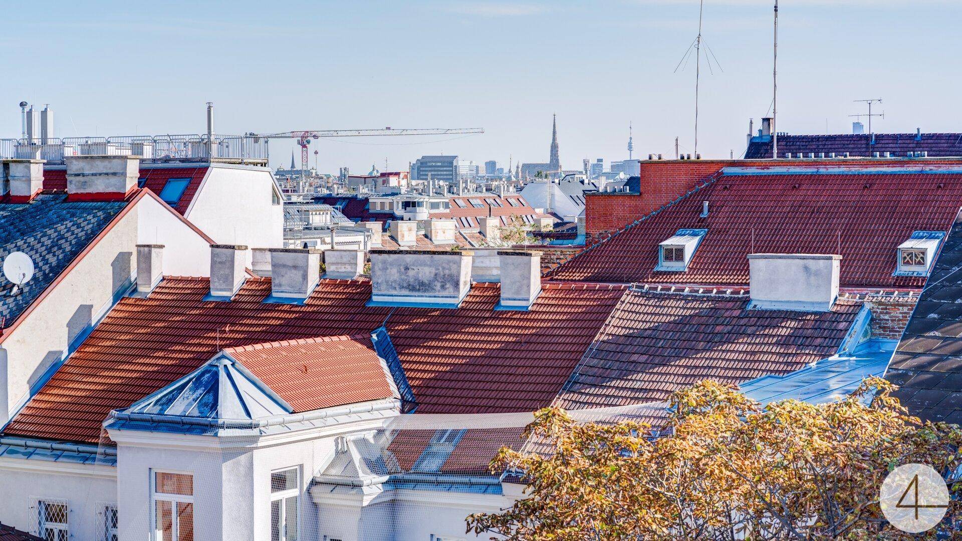 Blick zum Stephansdom