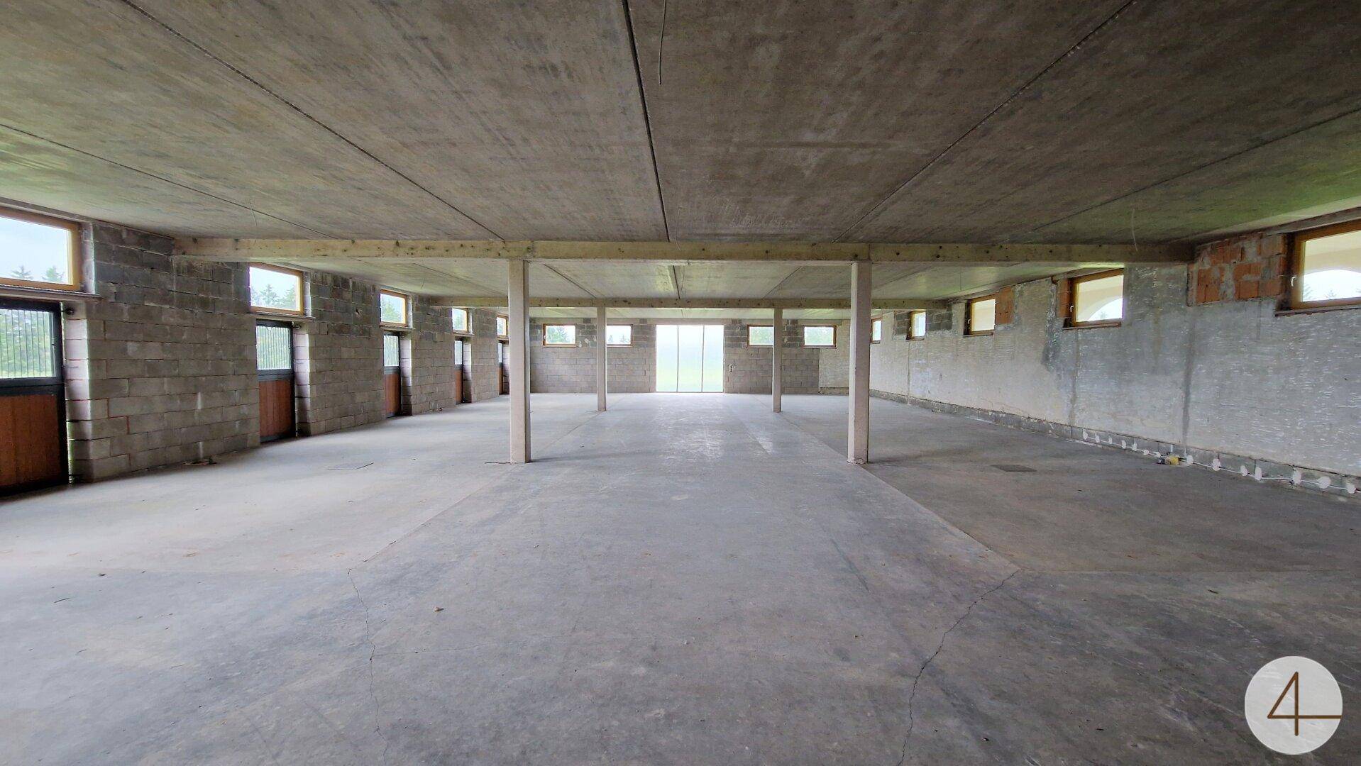 Großer, offener Kellerraum mit Betonboden und vielen Fenstern, ideal für Lagerung oder Ausbau.