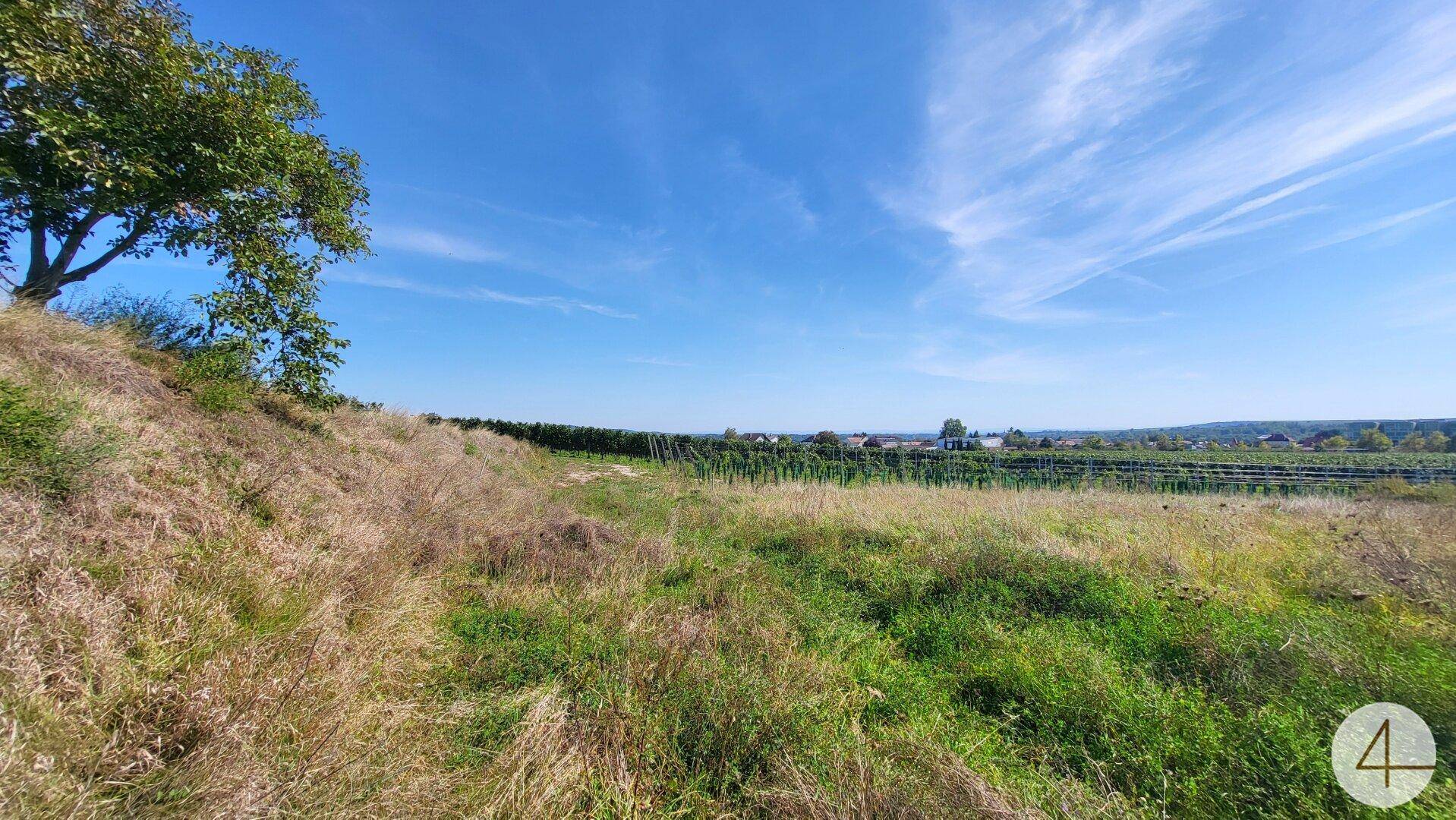 Baubehördlich bewilligtes Grundstück 5 Wohnungen WNFl. gesamt 476,31 m² - Ansicht 2