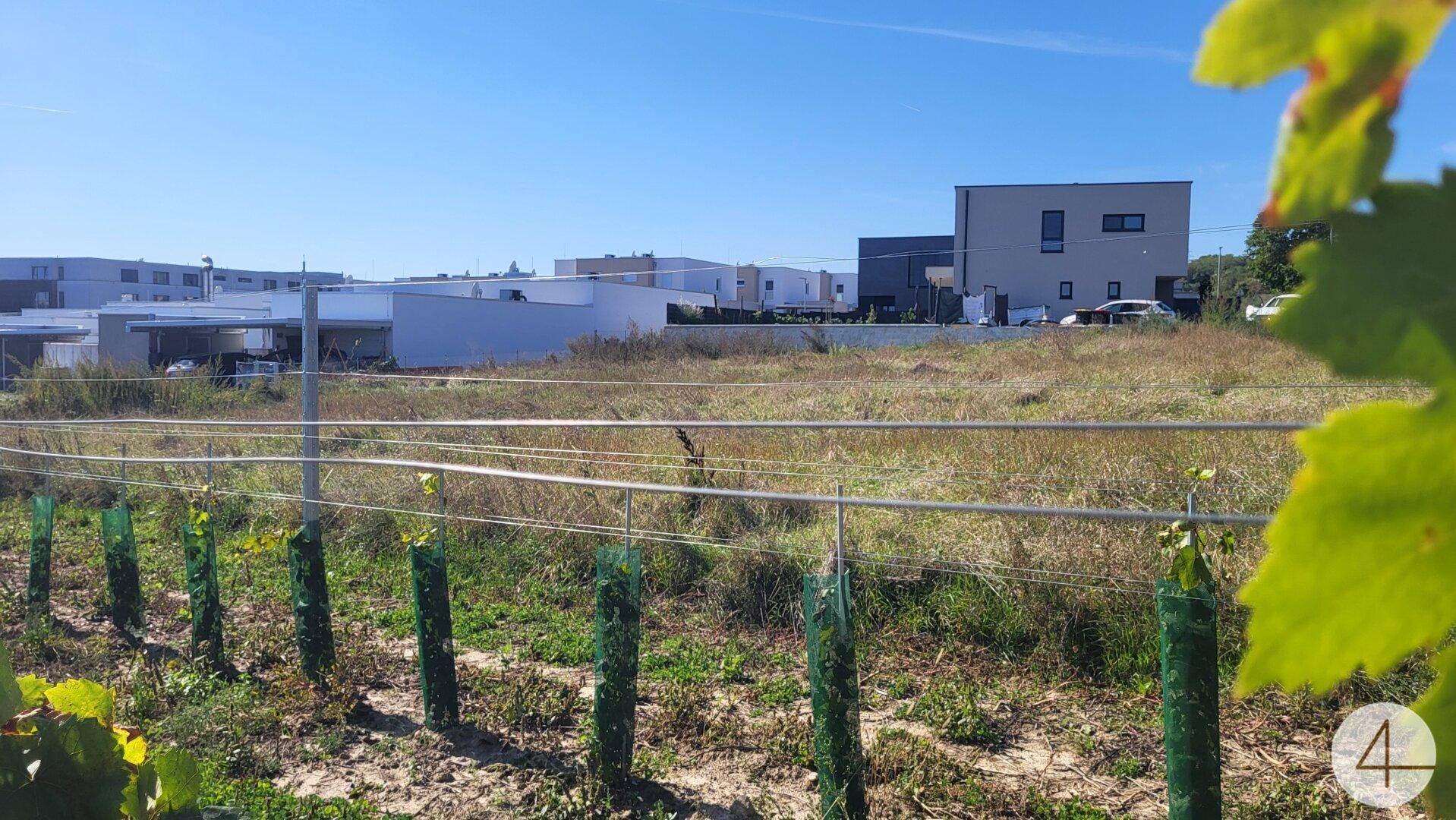 Baubehördlich bewilligtes Grundstück 5 Wohnungen WNFl. gesamt 476,31 m² - Ansicht 3