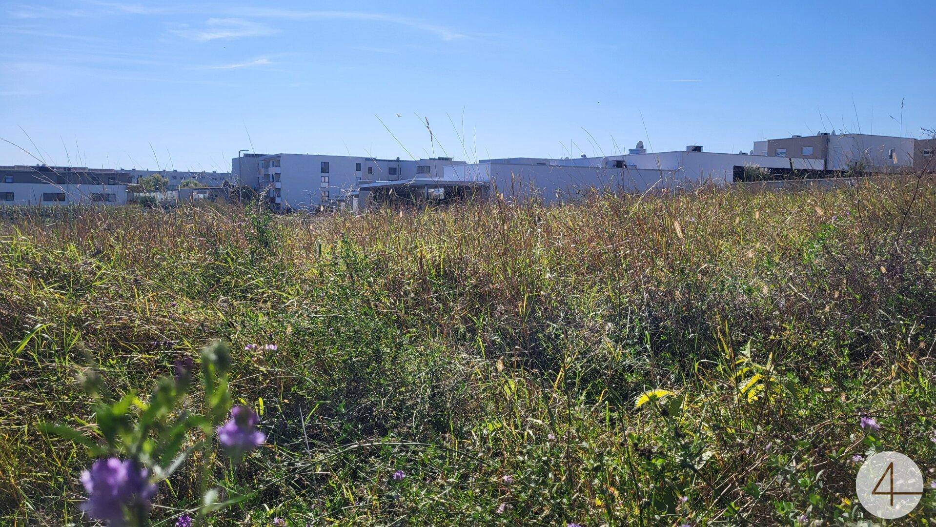 Baubehördlich bewilligtes Grundstück 5 Wohnungen WNFl. gesamt 476,31 m² - Ansicht 4