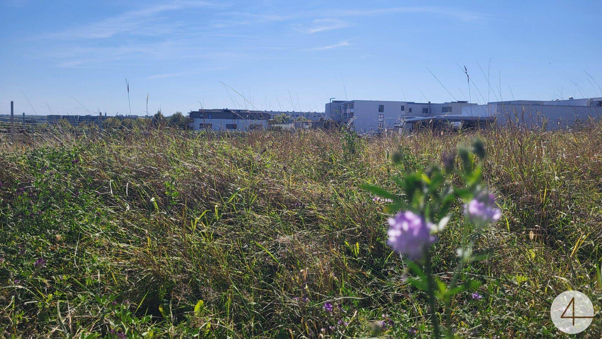 Baubehördlich bewilligtes Grundstück 5 Wohnungen WNFl. gesamt 476,31 m² - Ansicht 5