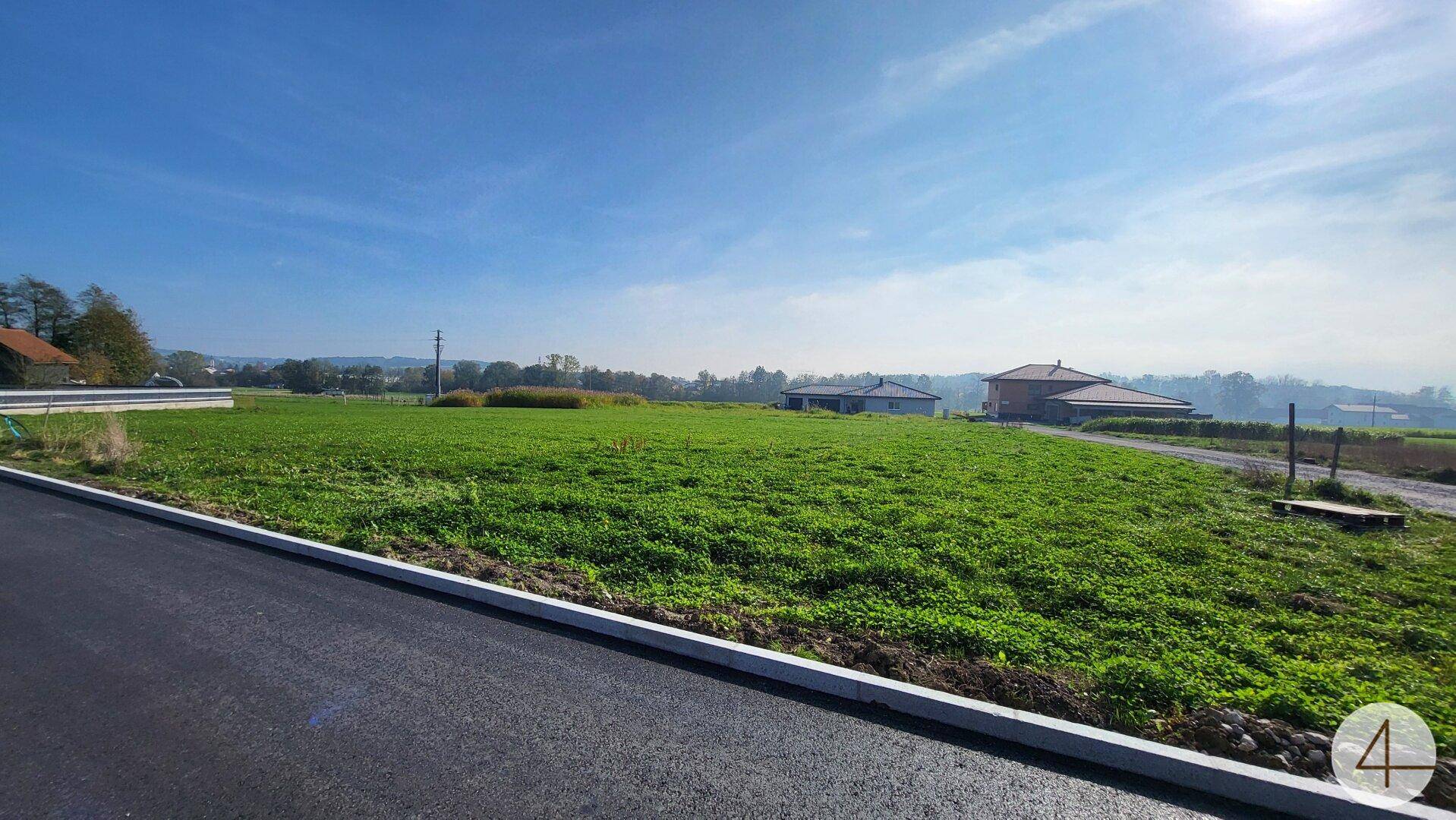 Offenes Grundstück mit frischem Grün und asphaltierter Zufahrt unter strahlend blauem Himmel.