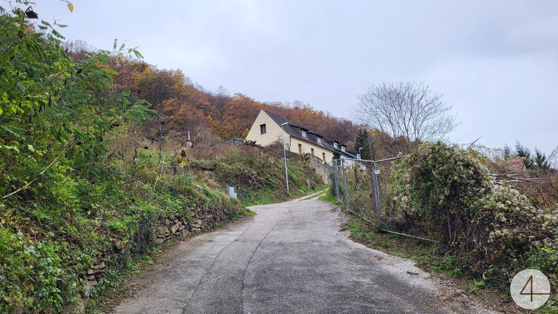 Zufahrtsweg zum Haus, umgeben von üppiger Vegetation und Bäumen auf einem Hügel.