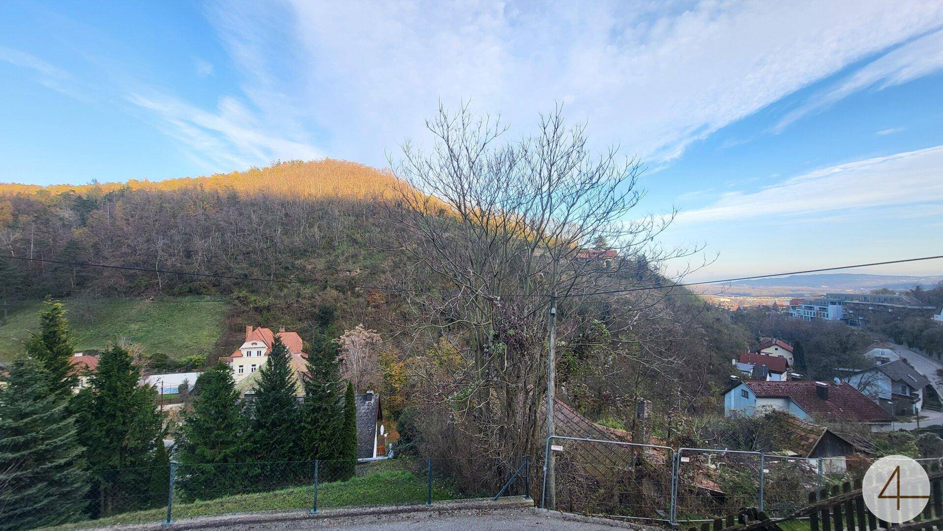 Weitläufiger Blick über die hügelige Landschaft mit Bäumen und einigen Häusern im Tal.