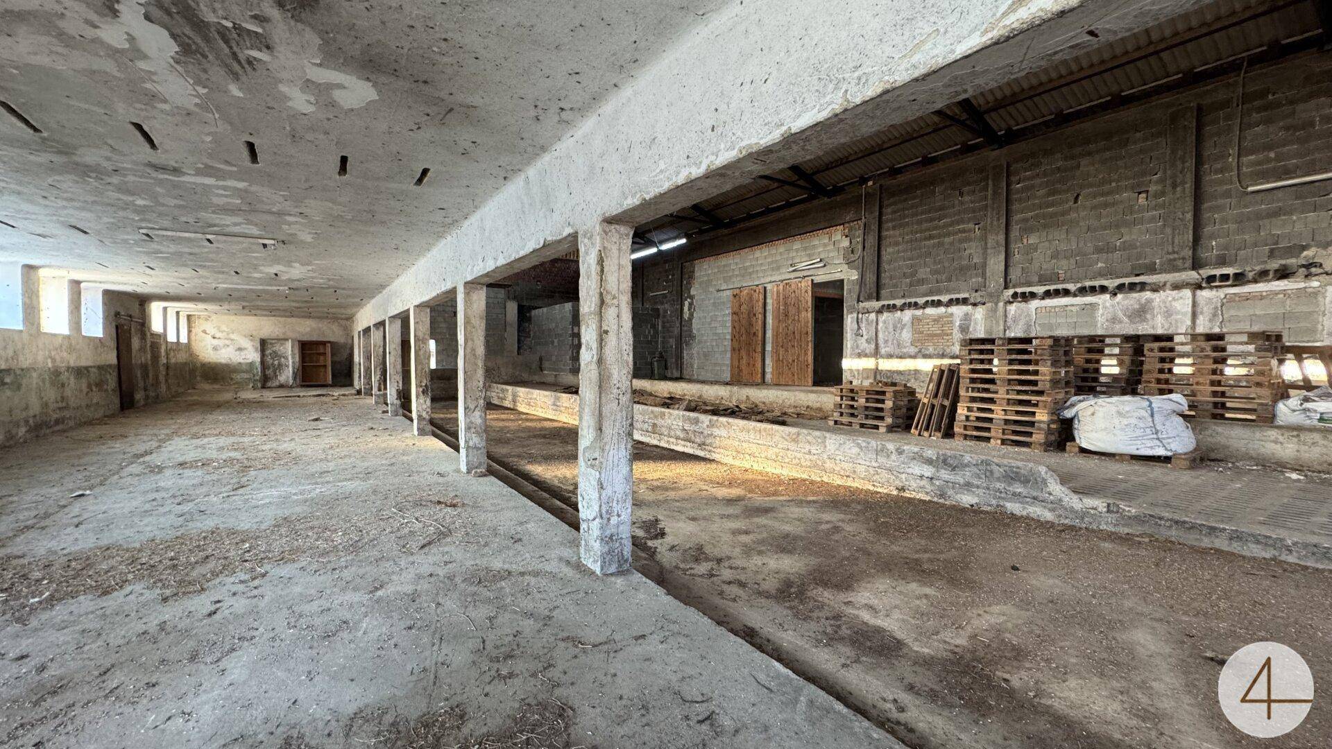 Großer, leerstehender Innenraum mit Betonboden und Säulen, möglicherweise ein ehemaliger Stall oder Lagerbereich.