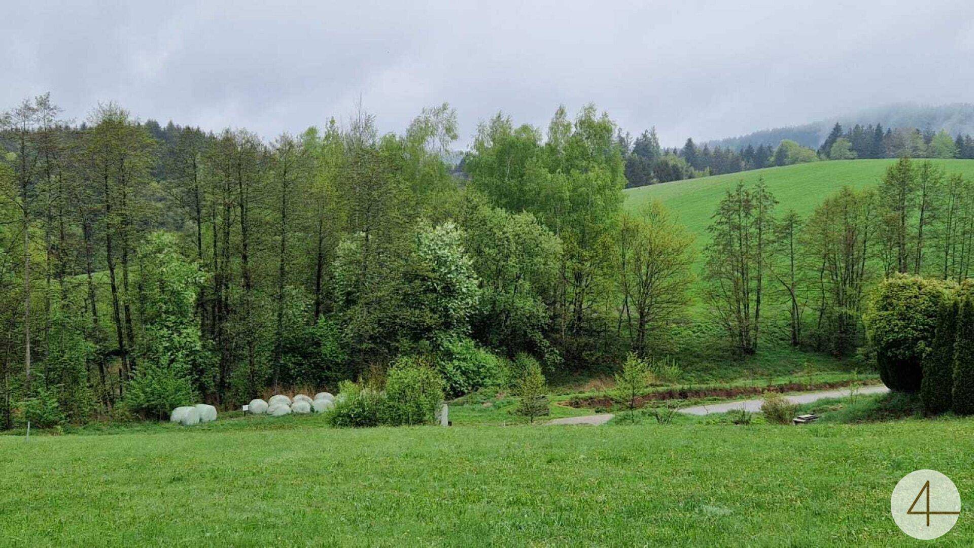 Slide 35