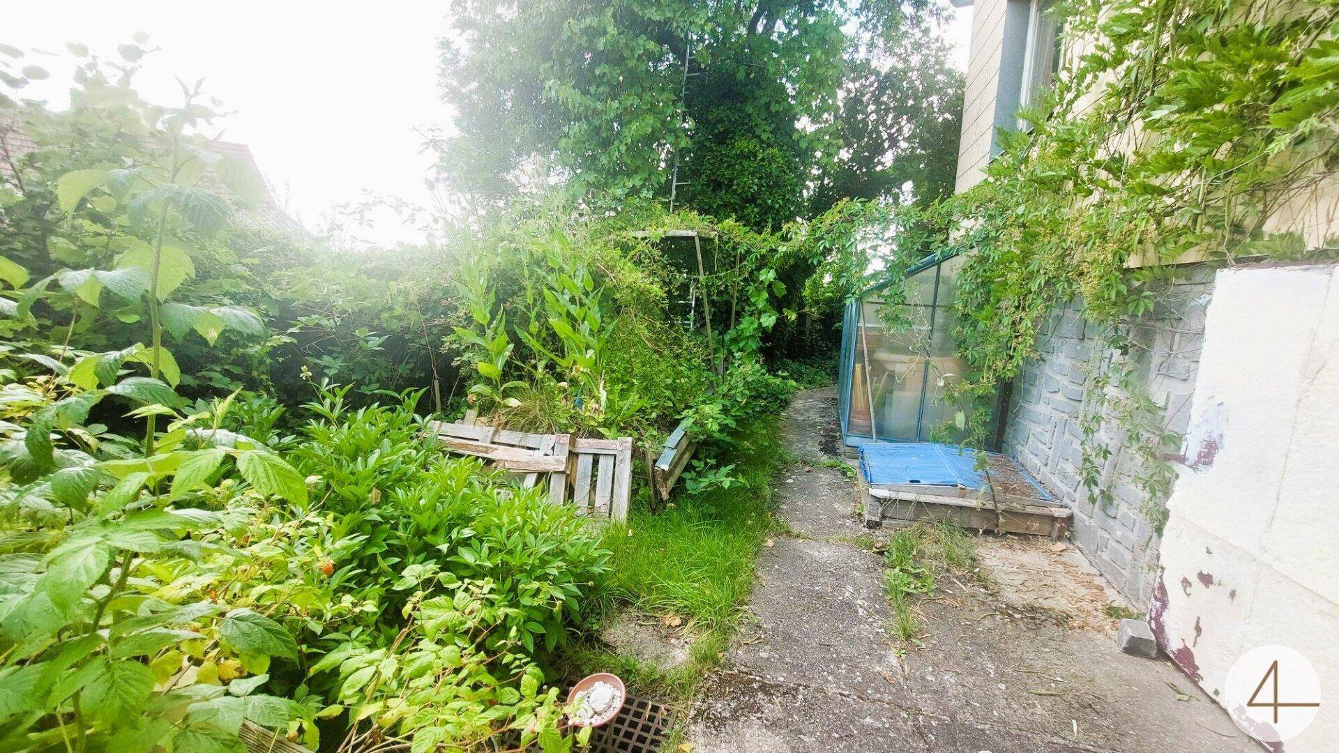 Verwilderter Gartenbereich neben dem Gebäude mit viel Grün und einem kleinen Gewächshaus.