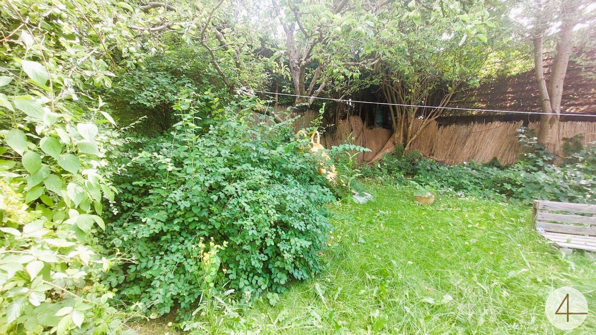 Naturbelassener Gartenbereich mit Rasen, Büschen und Bäumen, ideal für Naturliebhaber.