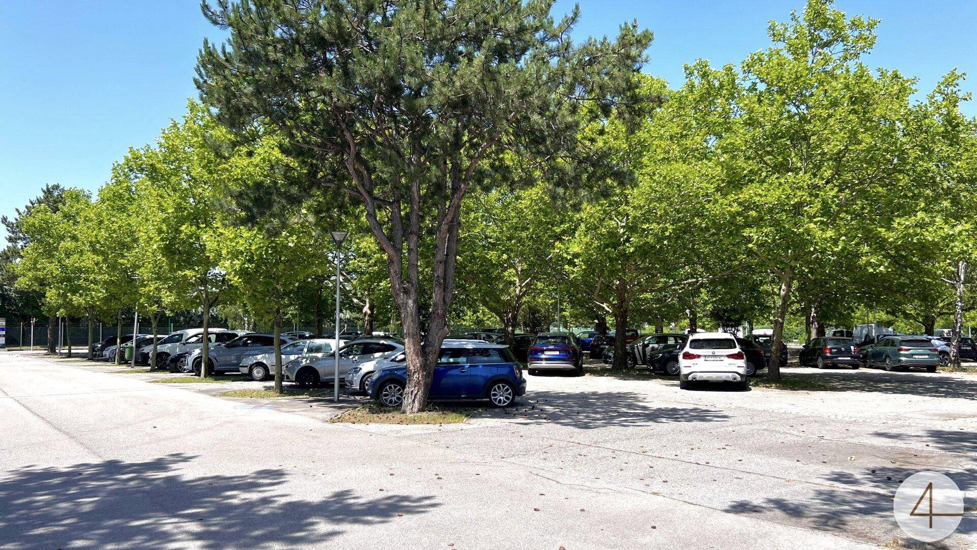 Belegter Parkplatz mit vielen Autos, beschattet von hohen Bäumen an einem sonnigen Tag.
