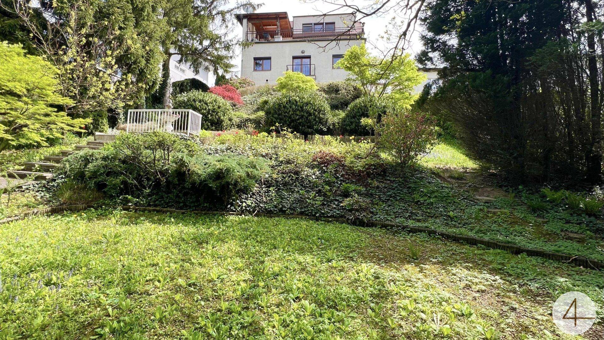 Großzügiger Gartenbereich mit üppiger Bepflanzung und Blick auf das Haus mit Dachterrasse.