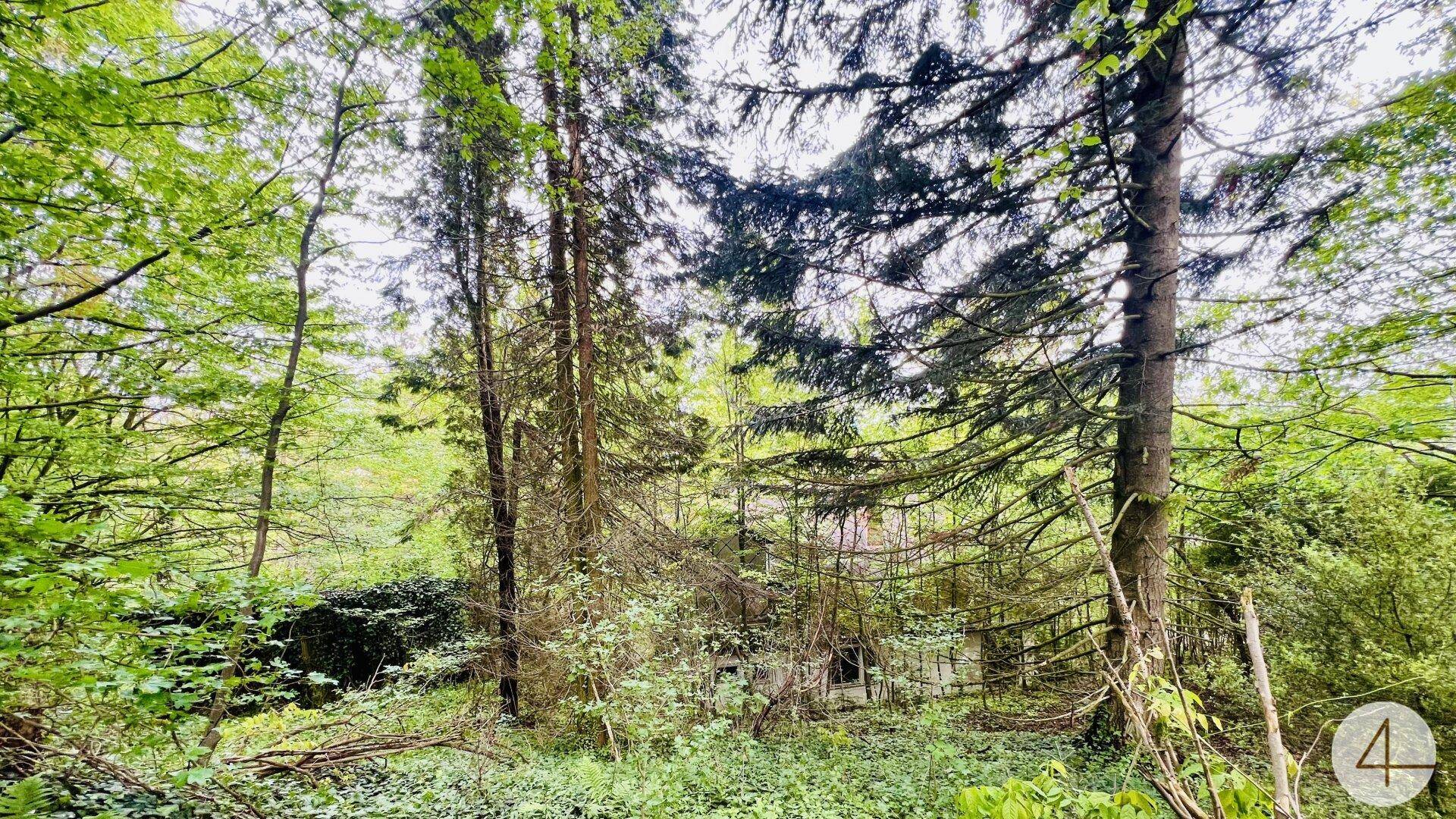 Baugrundstück in herrlicher Ruhelage - vor den Toren Wiens - grüner Weitblick übers Tal - gut bebaubar - Ansicht 2